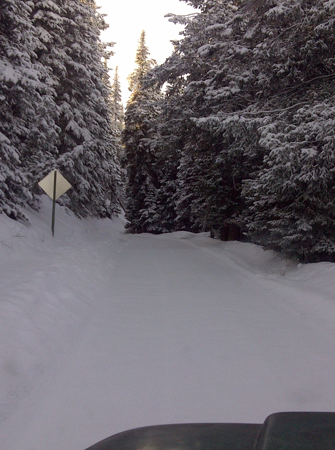 IMG-20111216-00056.jpg