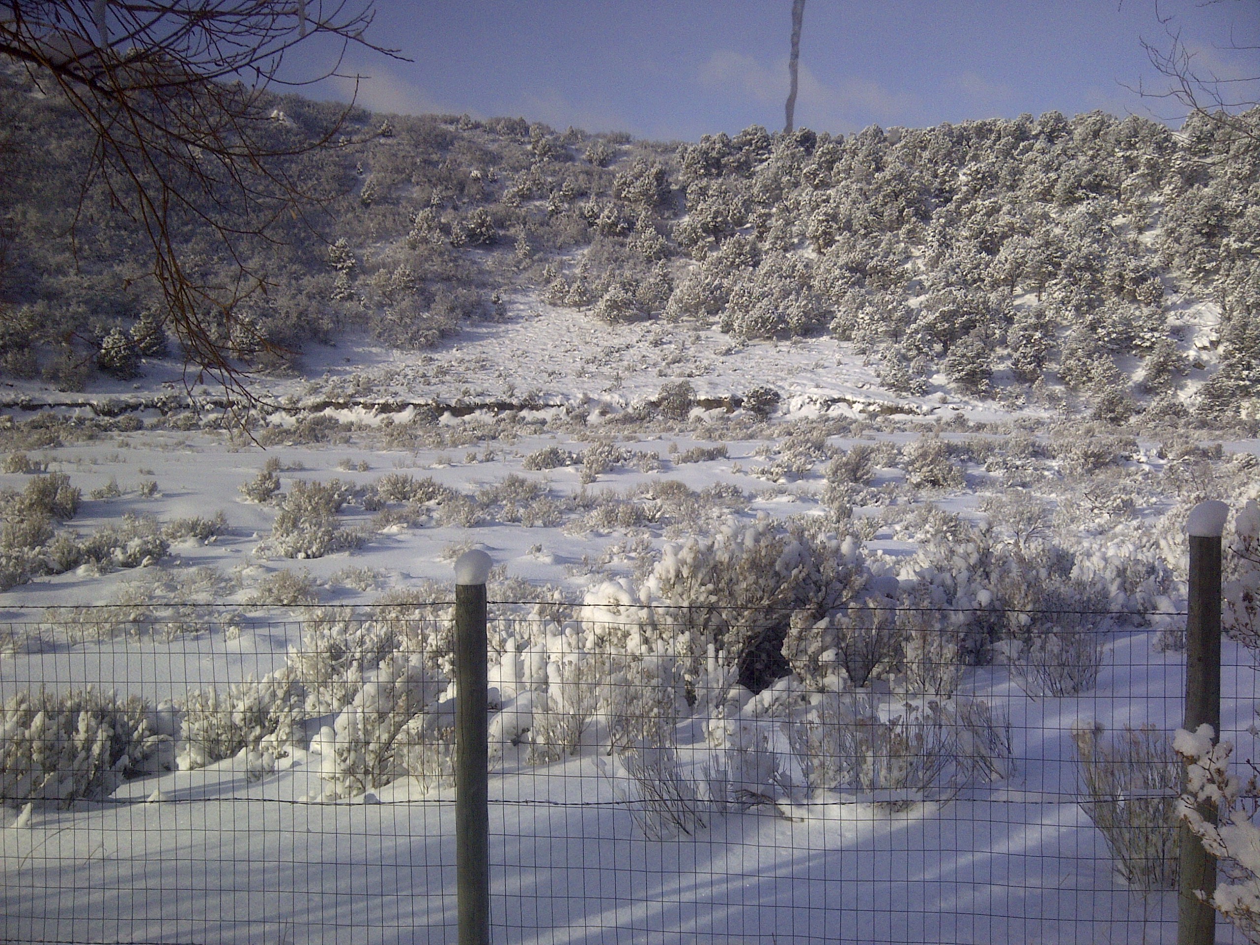 IMG-20121225-00020.jpg