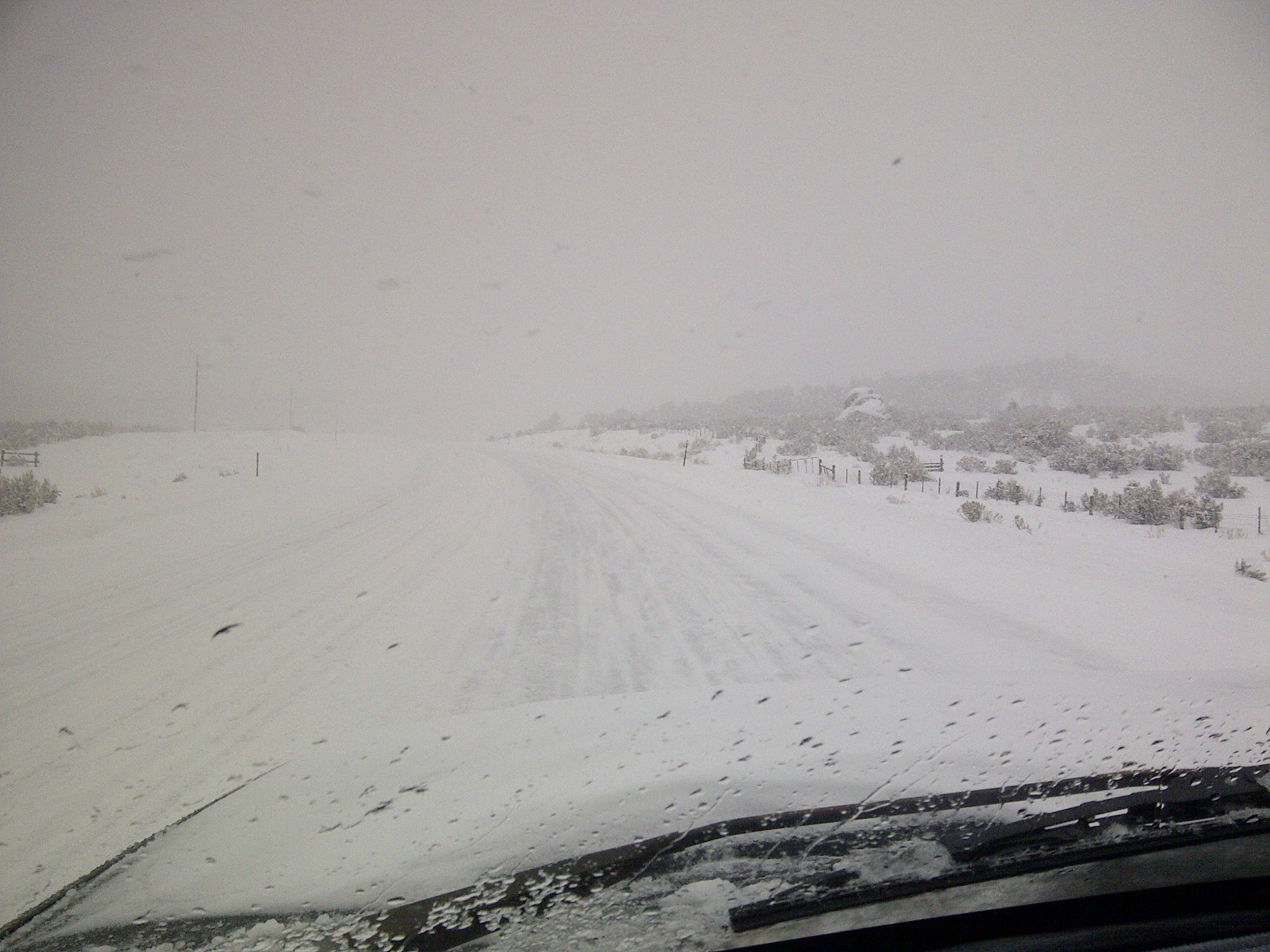 IMG-20121227-00023.jpg