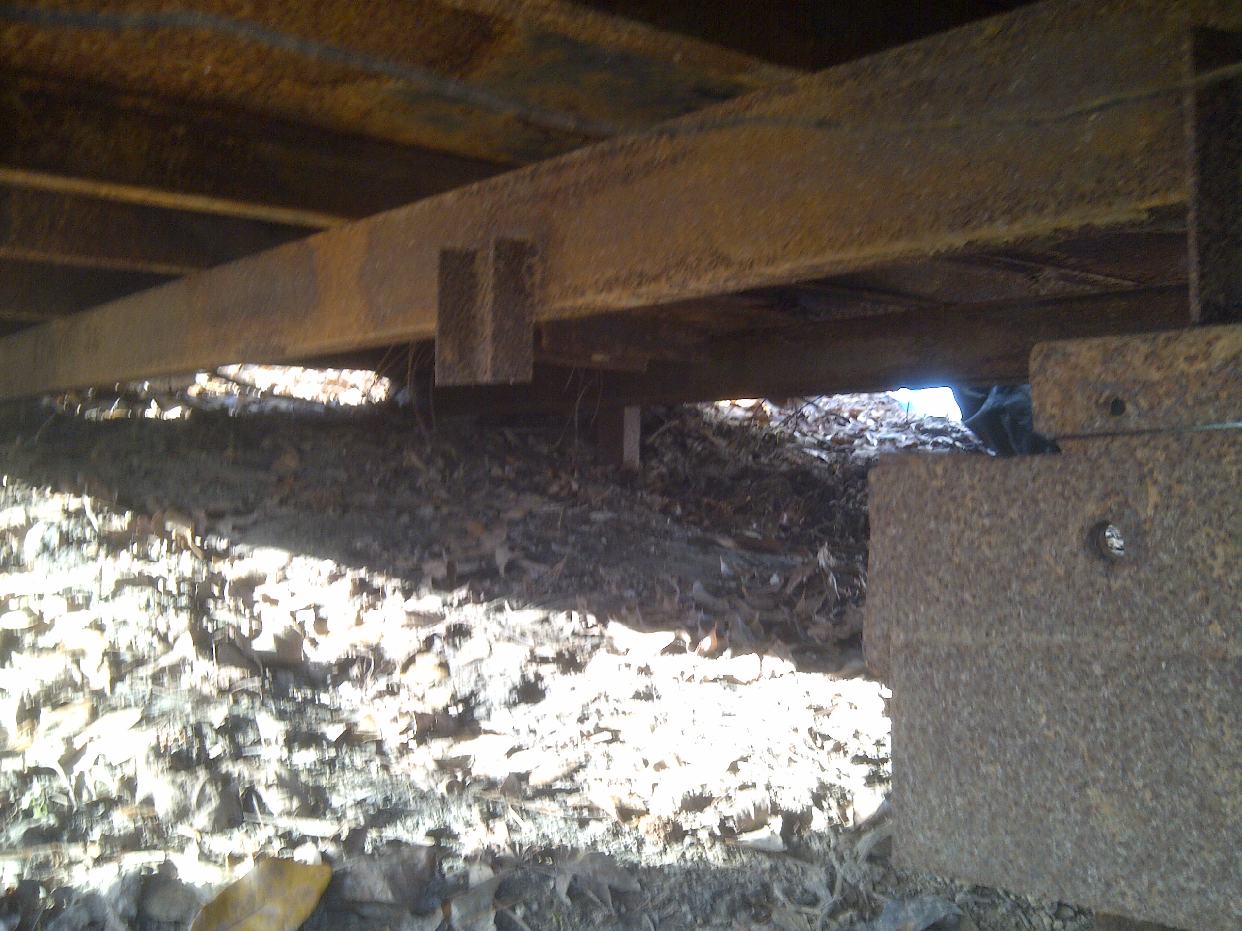 IMG-20130319-00071.jpg