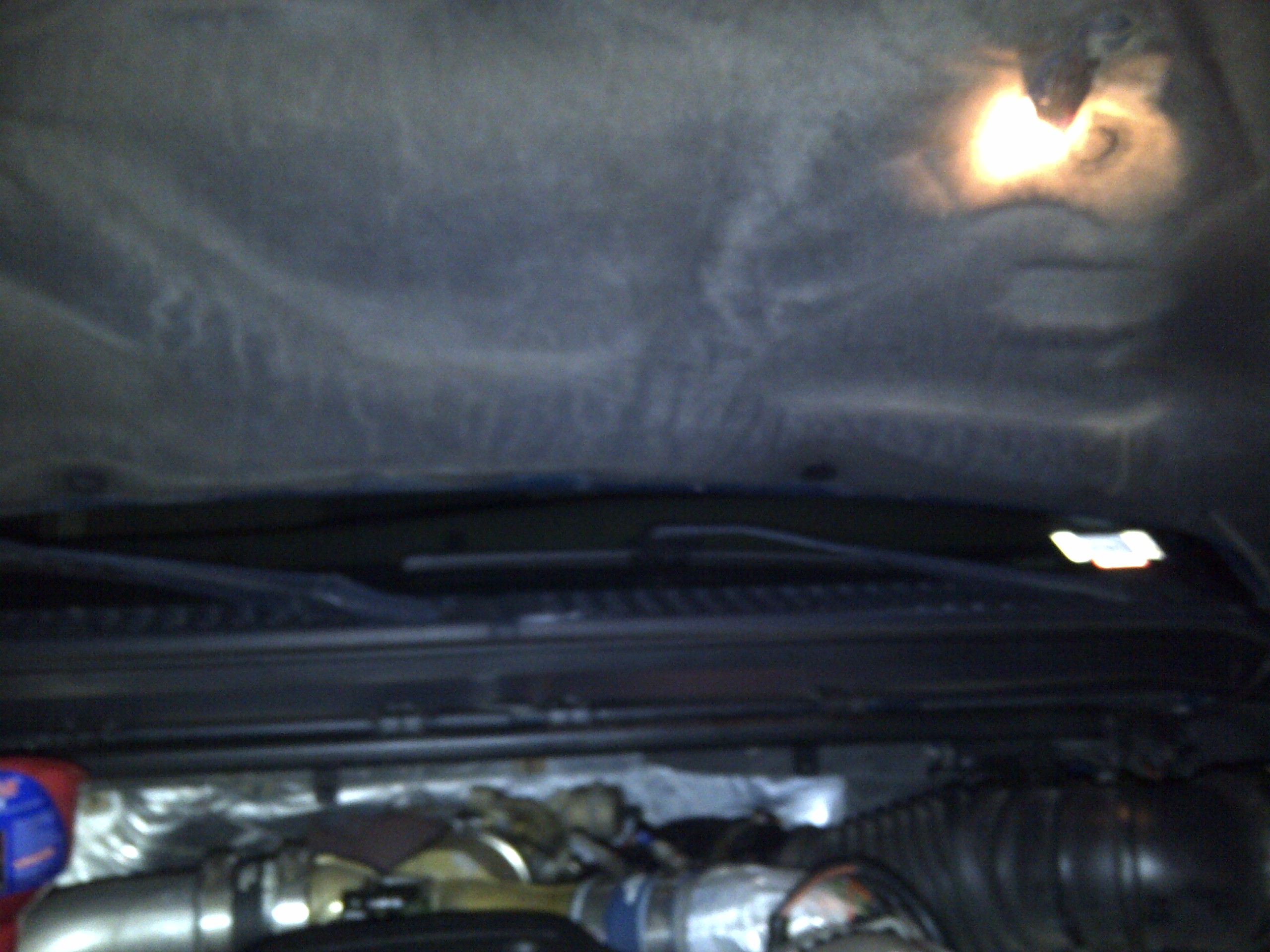 IMG-20130319-00075.jpg