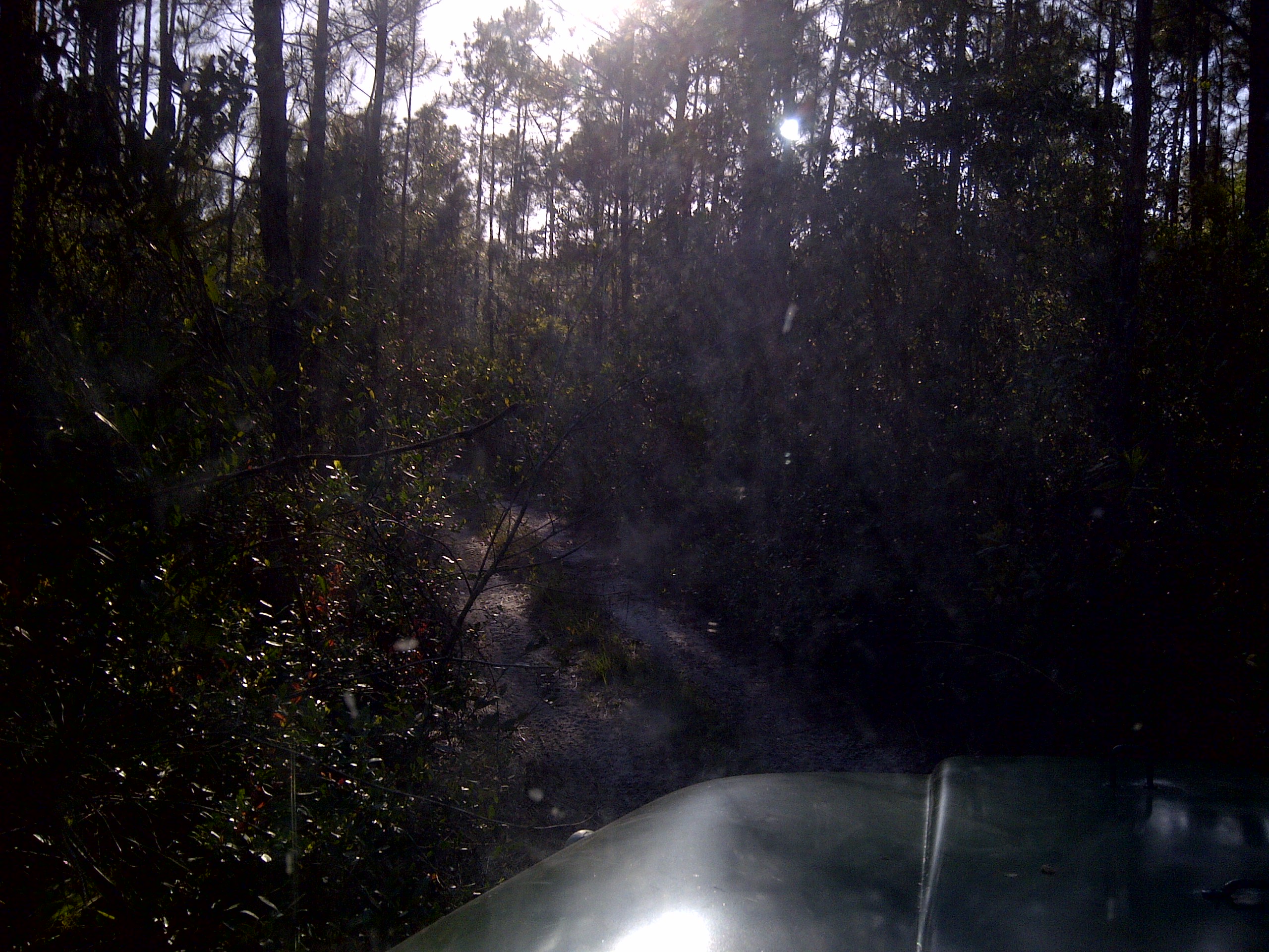 IMG-20130421-00104.jpg
