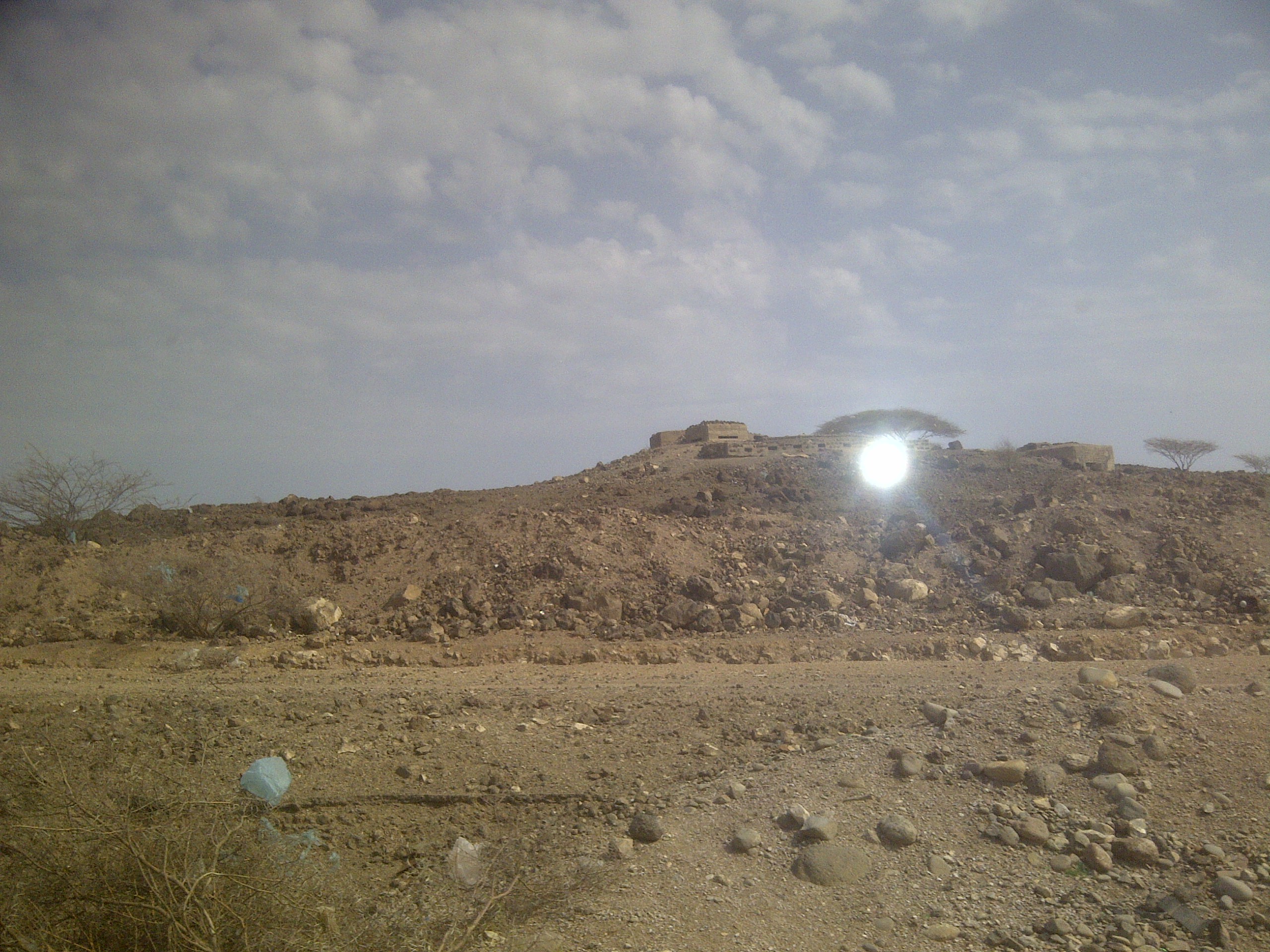 IMG-20130810-00169.jpg