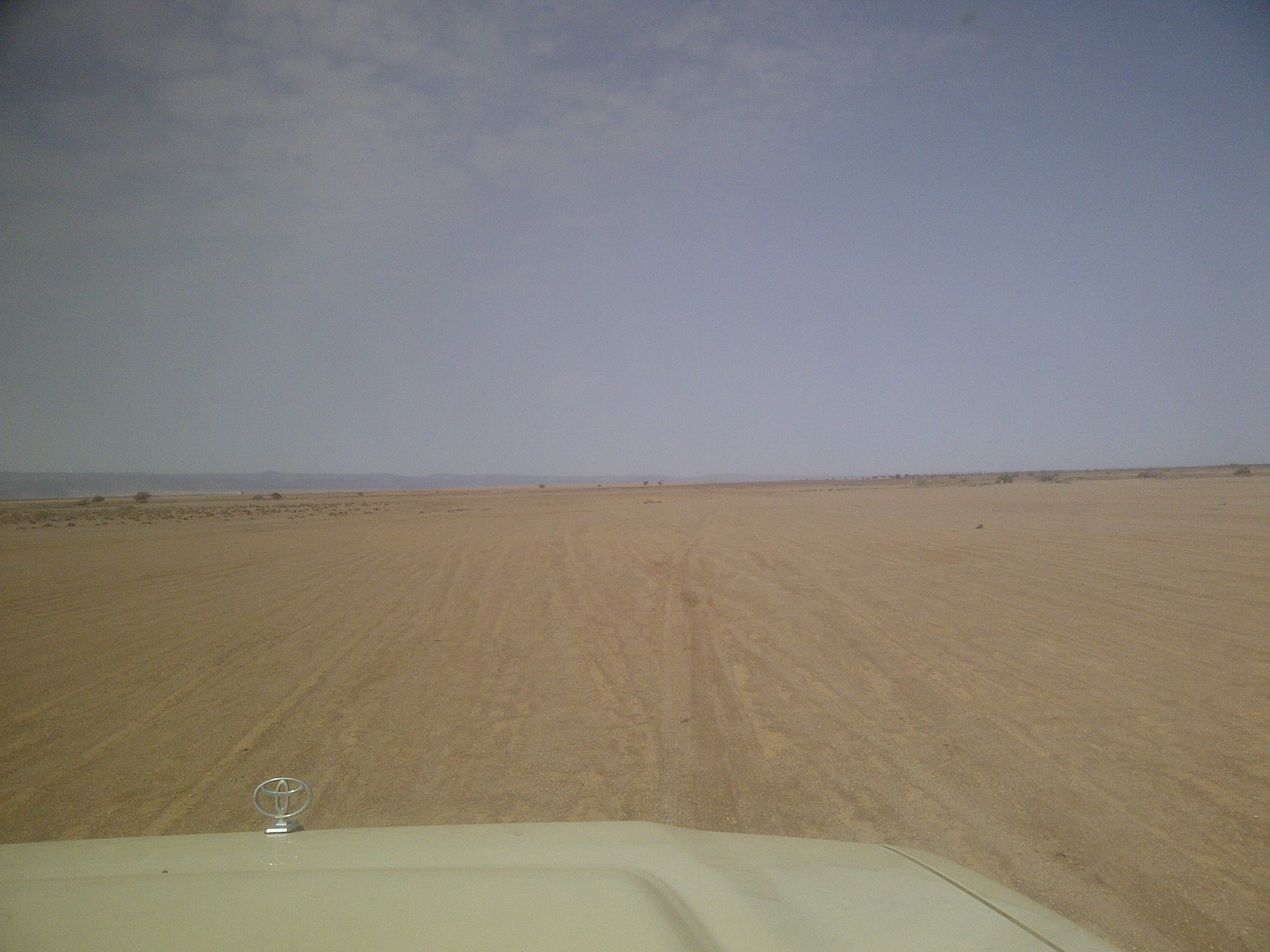 IMG-20130810-00180.jpg