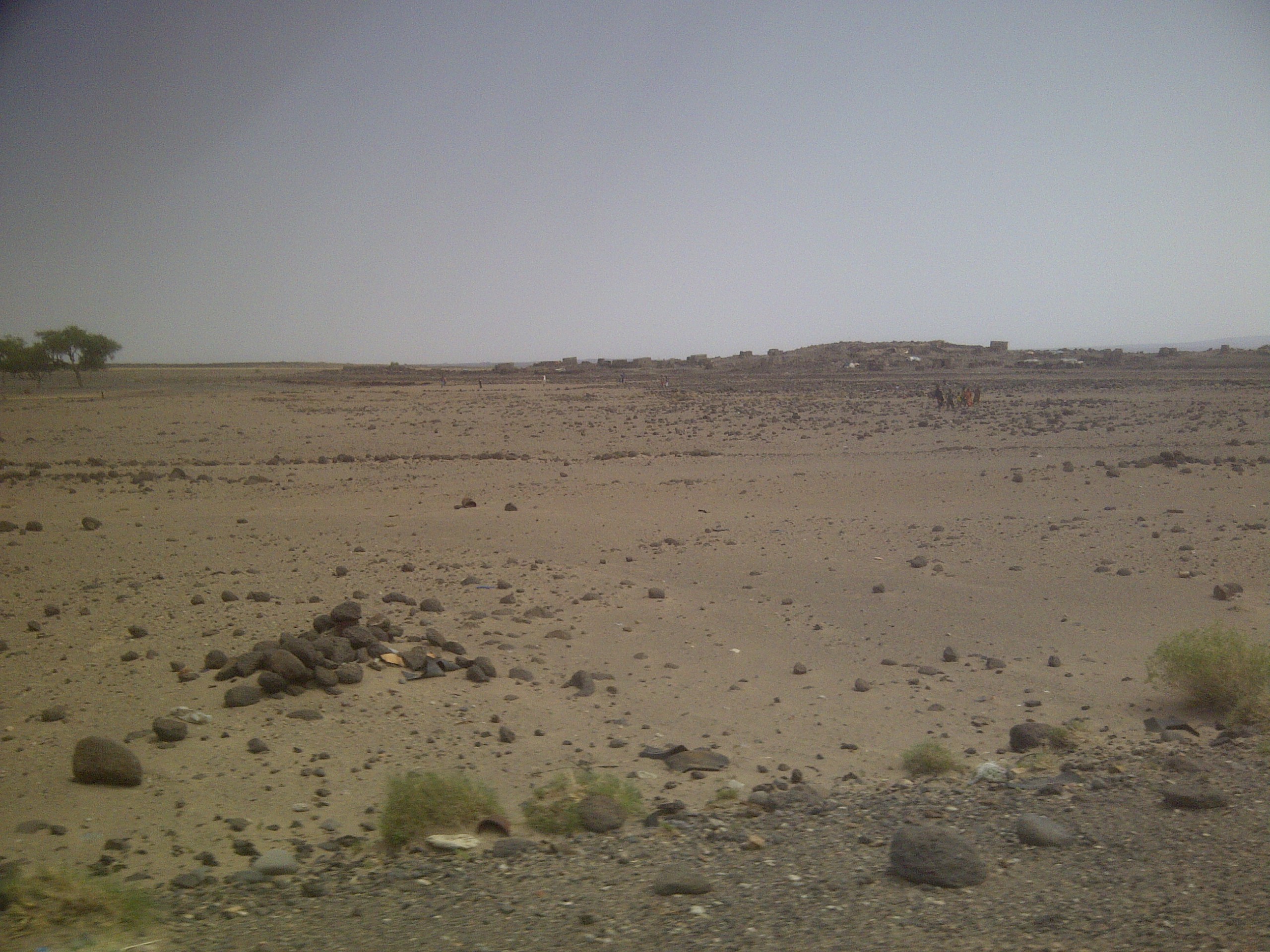 IMG-20130810-00186.jpg