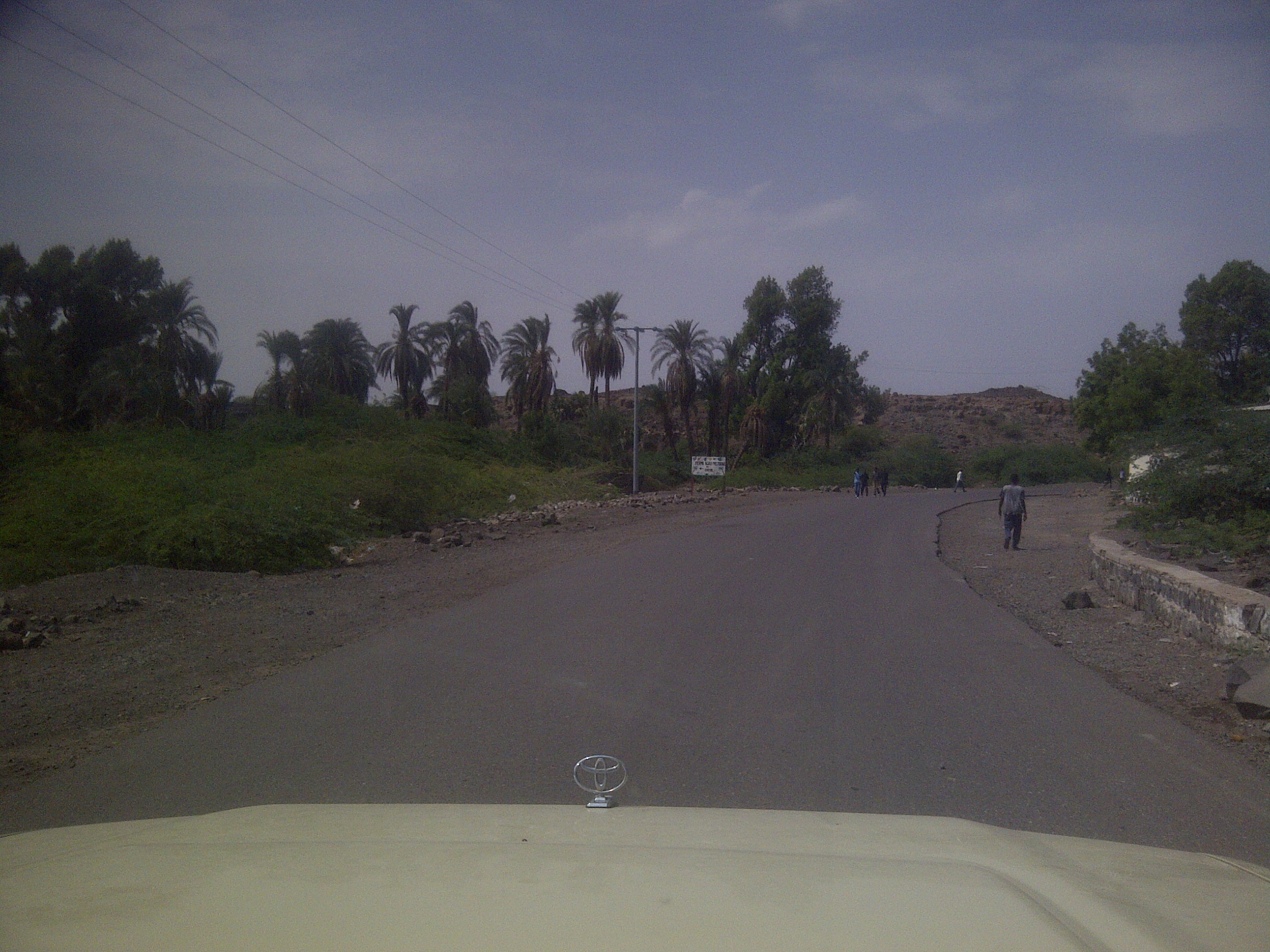 IMG-20130810-00188.jpg