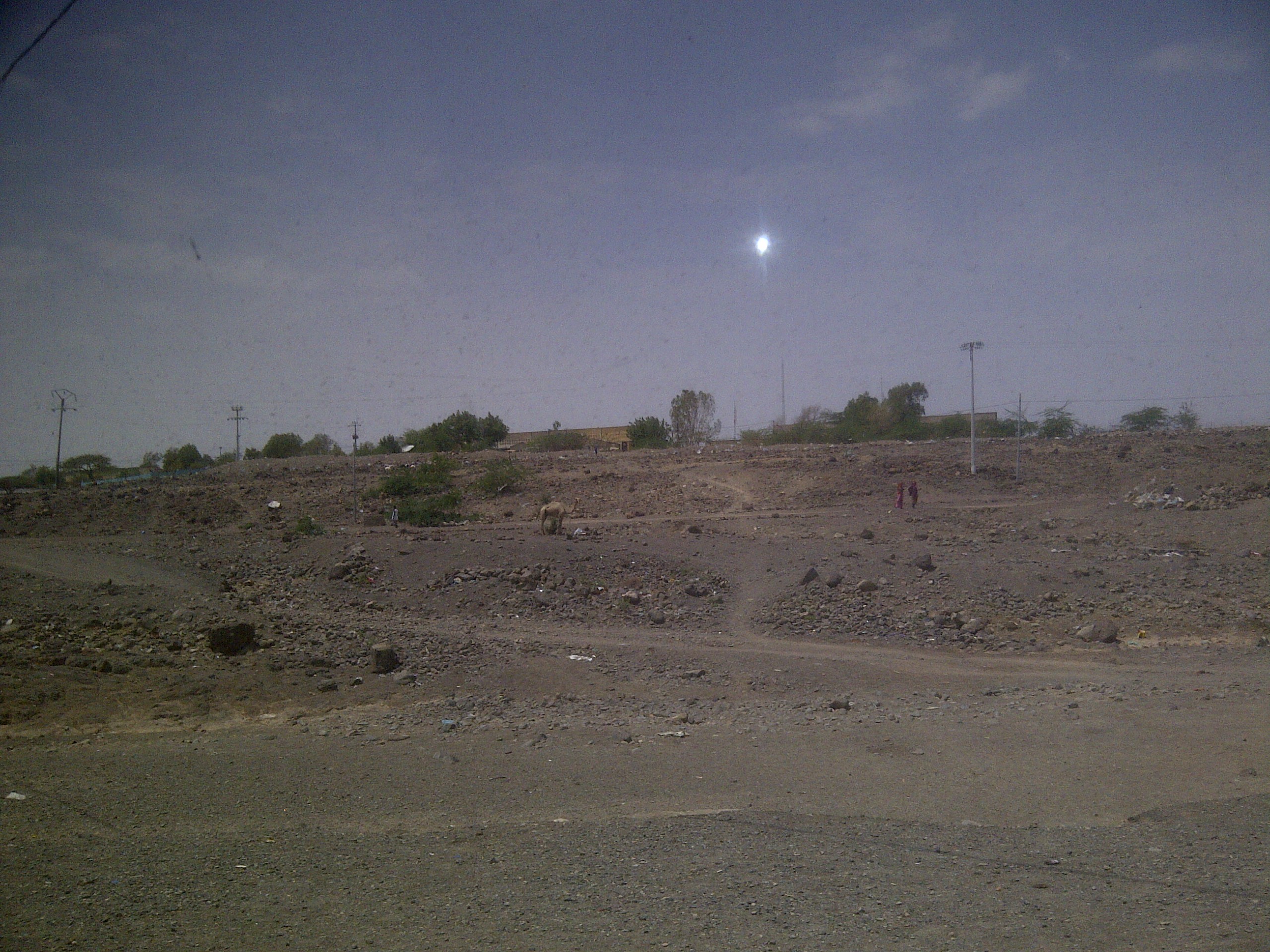 IMG-20130810-00197.jpg
