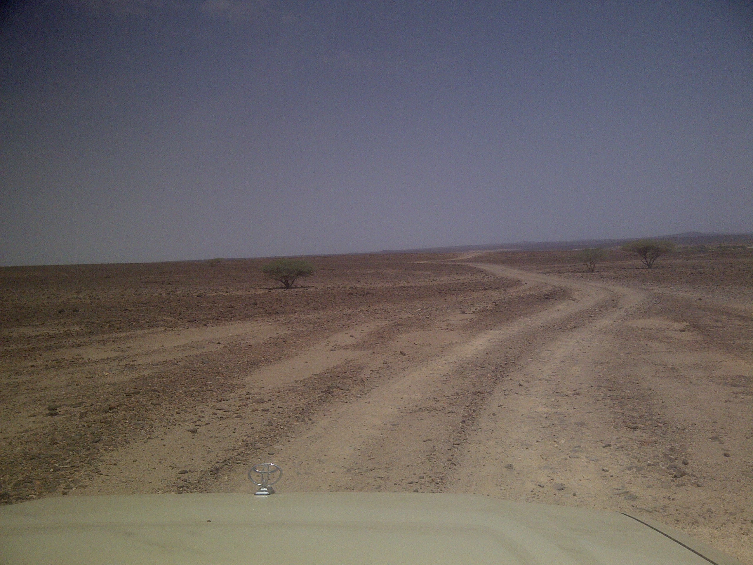 IMG-20130810-00202.jpg