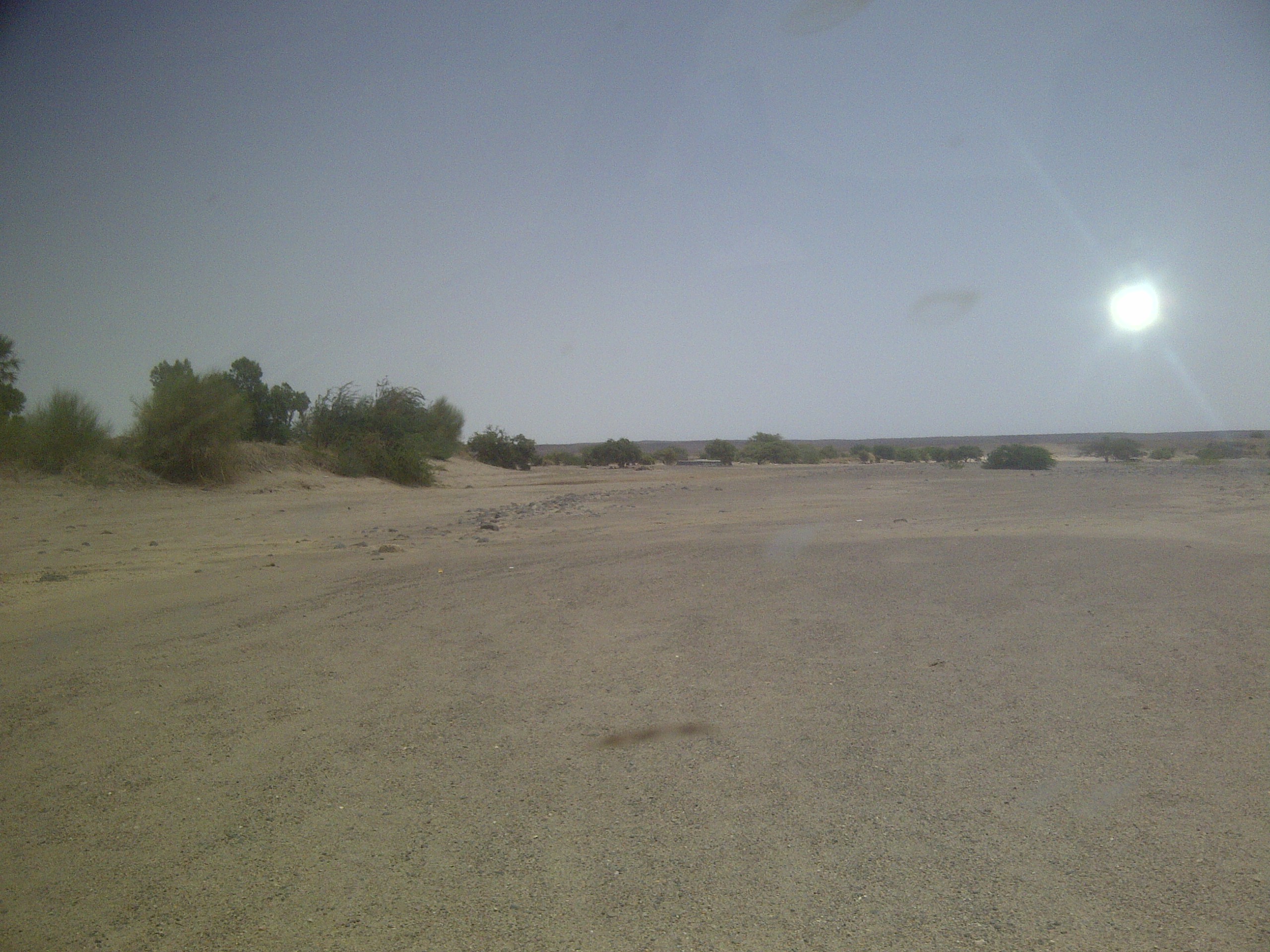 IMG-20130810-00203.jpg