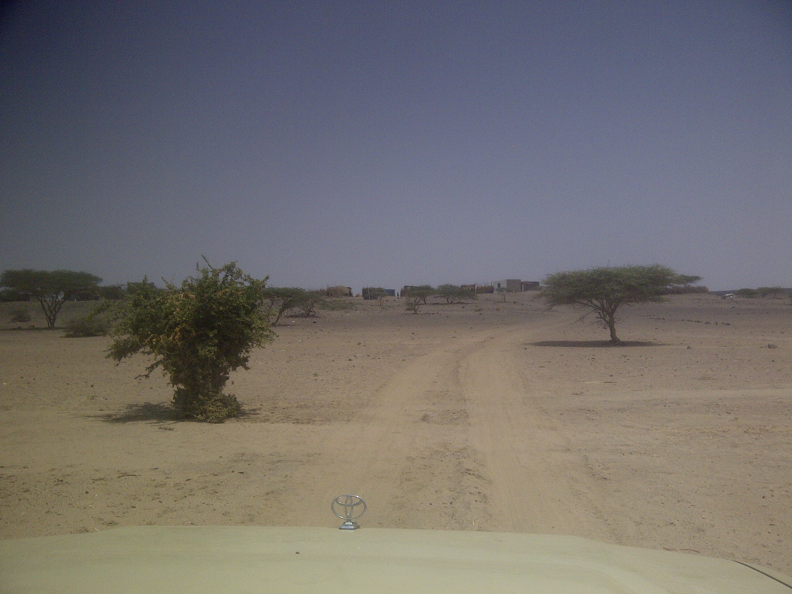 IMG-20130810-00206.jpg
