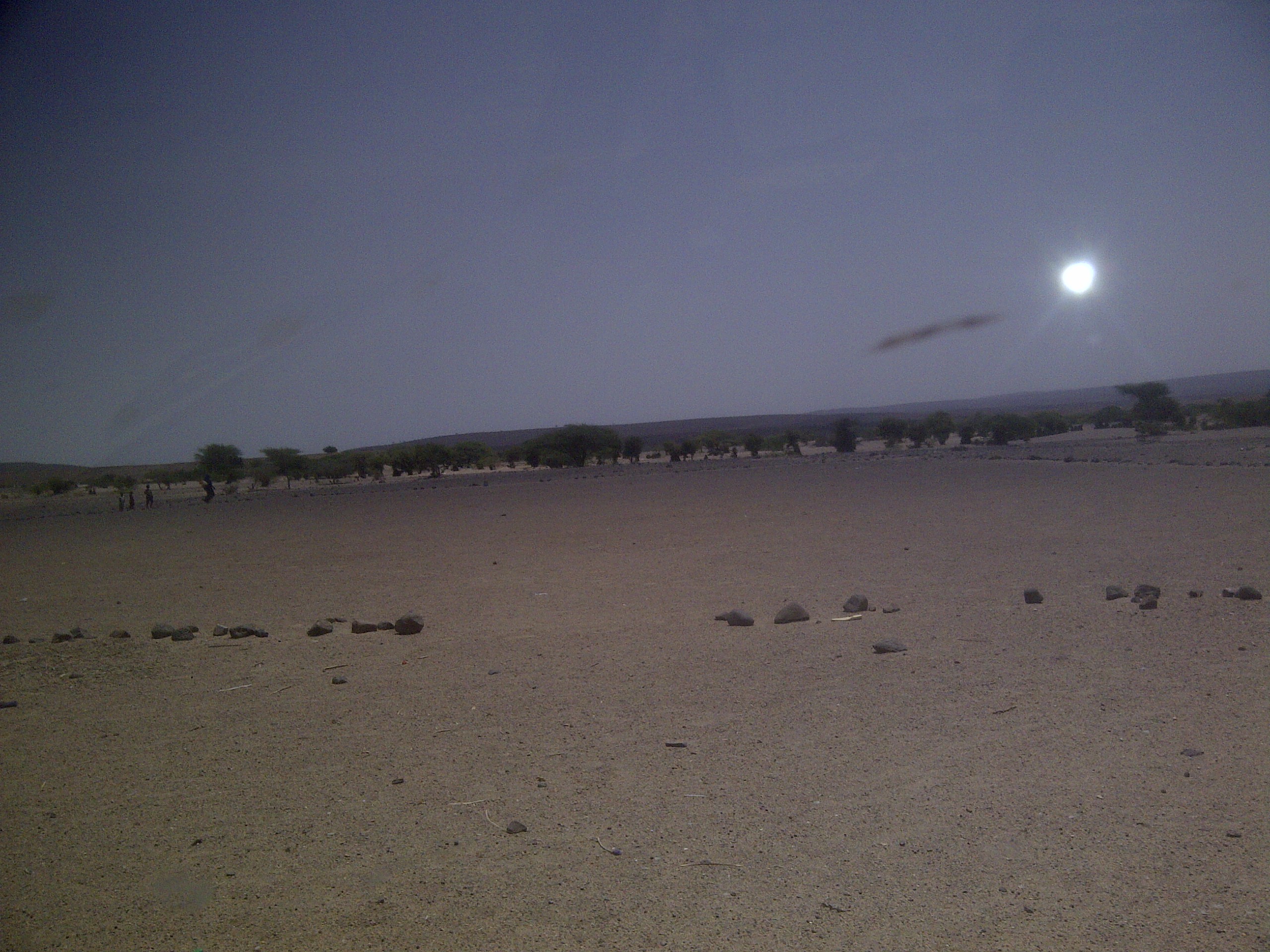 IMG-20130810-00207.jpg