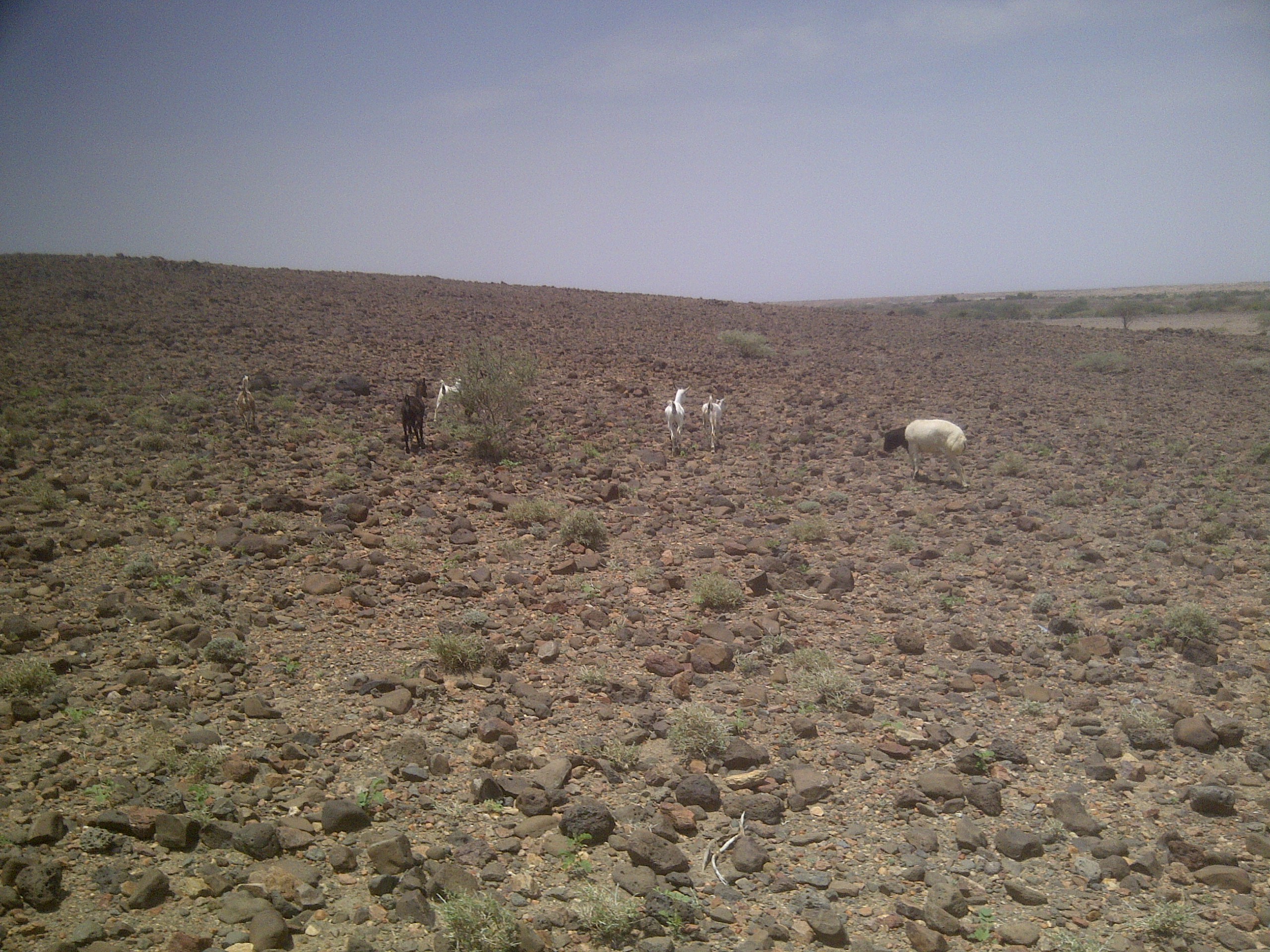 IMG-20130810-00224.jpg