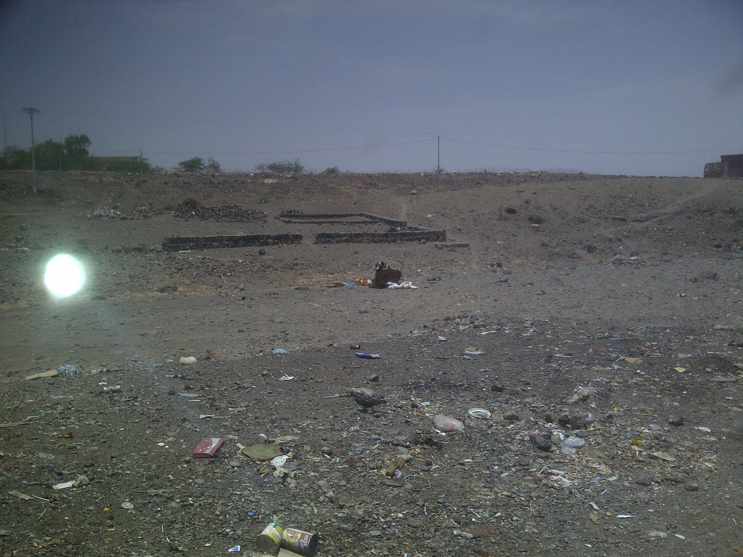 IMG-20130810-00227.jpg