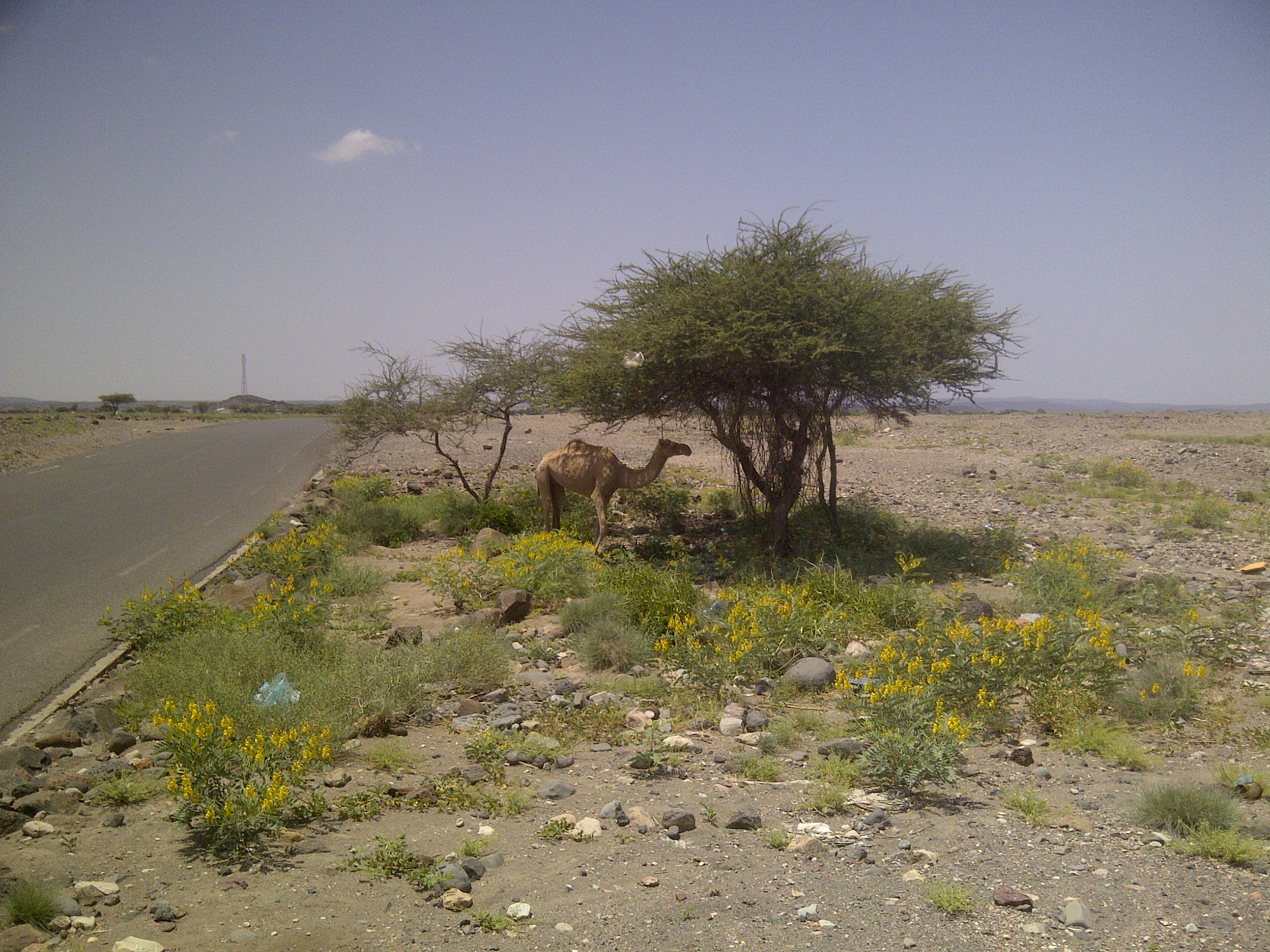 IMG-20130920-00248.jpg