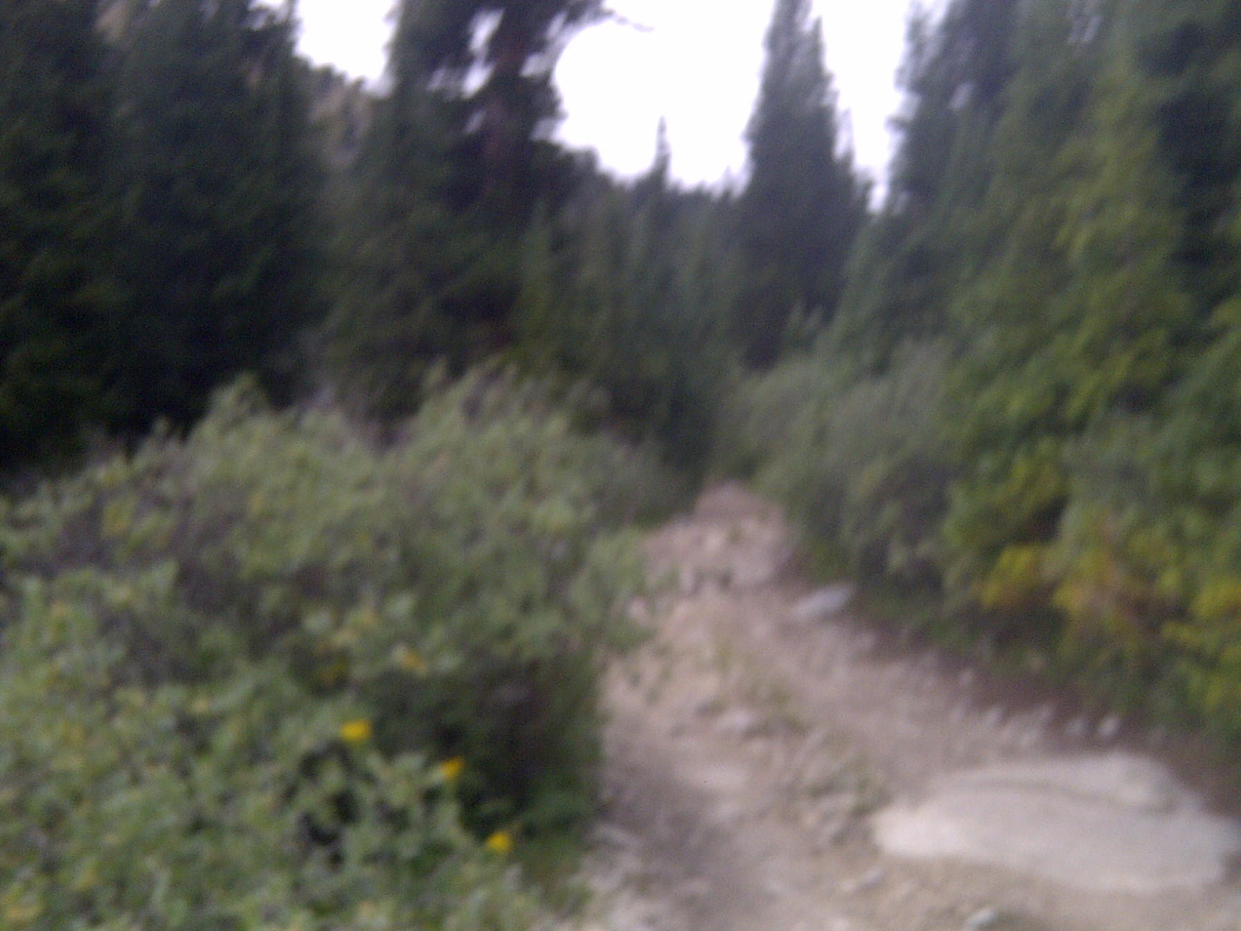 IMG-20140821-00334.jpg