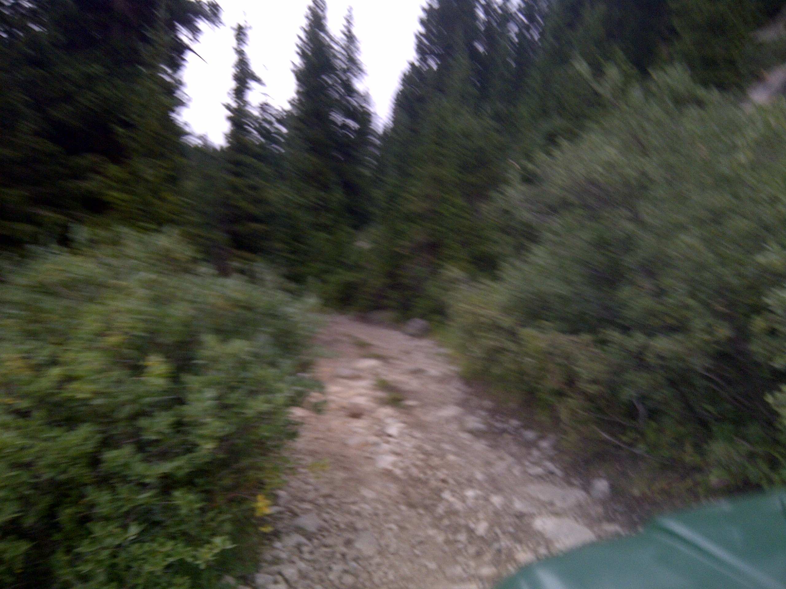 IMG-20140821-00335.jpg