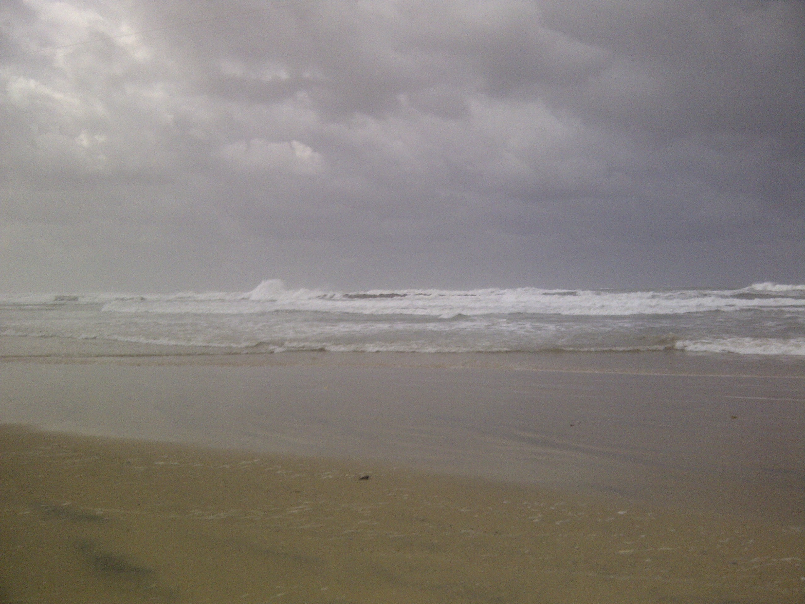 IMG-20150212-00434.jpg