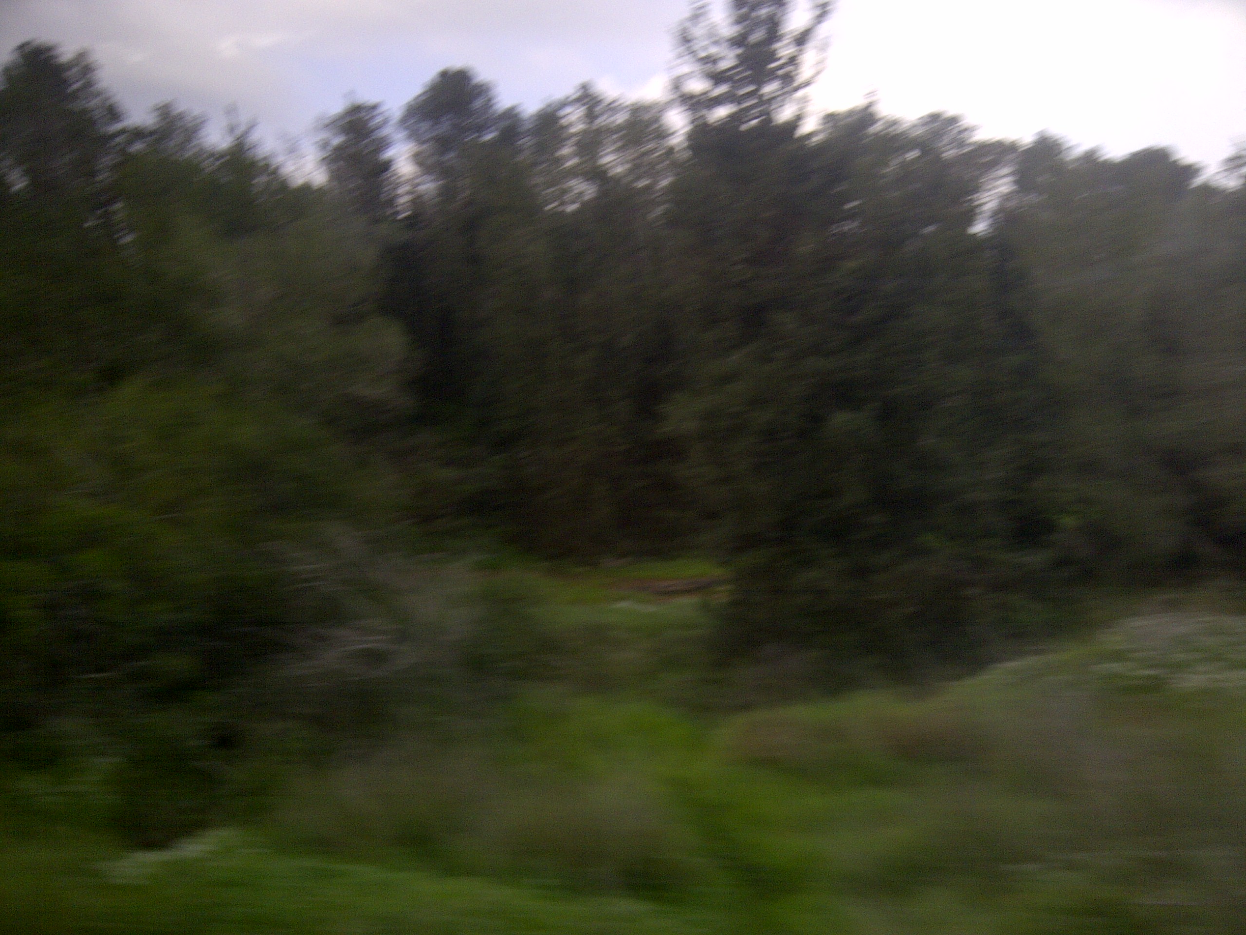 IMG-20150214-00438.jpg
