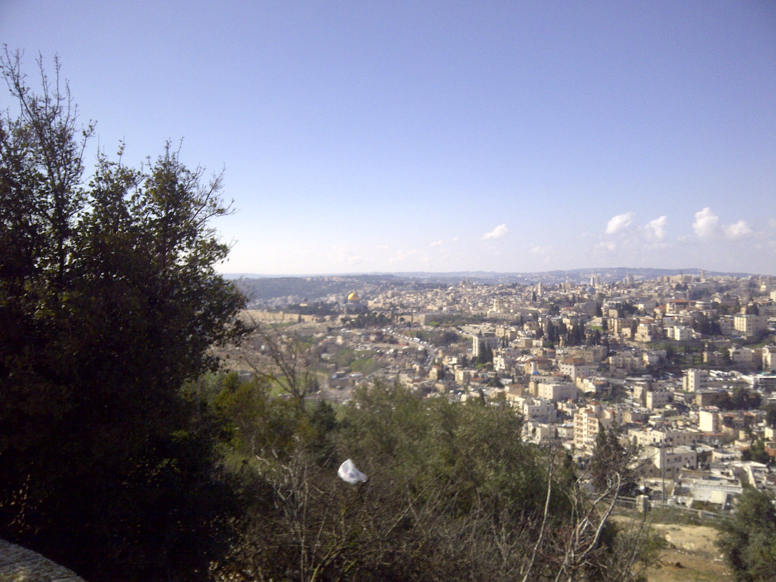 IMG-20150214-00444.jpg
