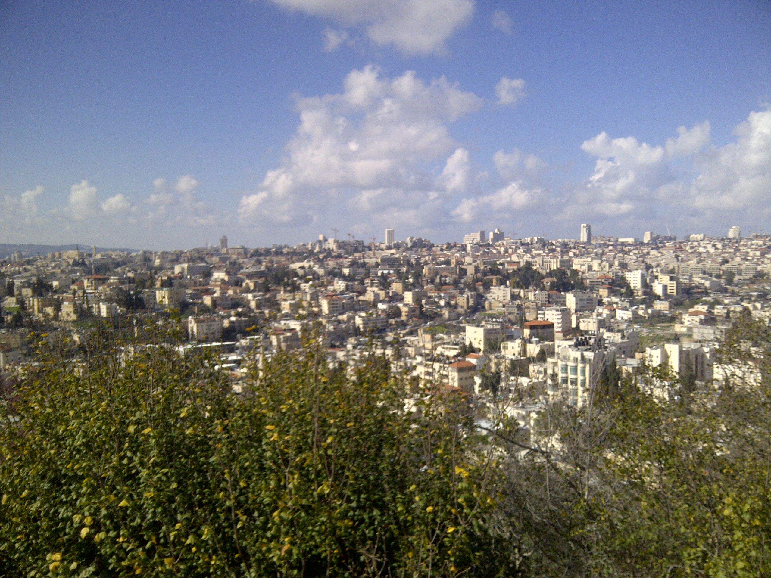 IMG-20150214-00446.jpg