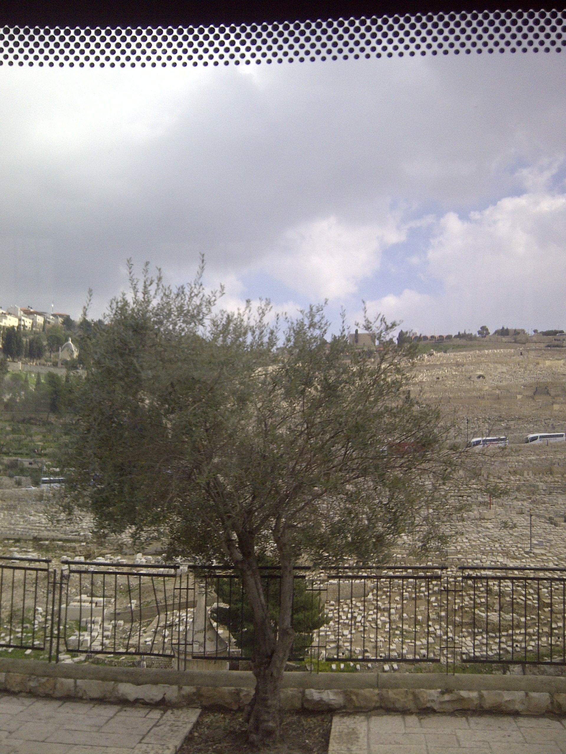IMG-20150214-00482.jpg