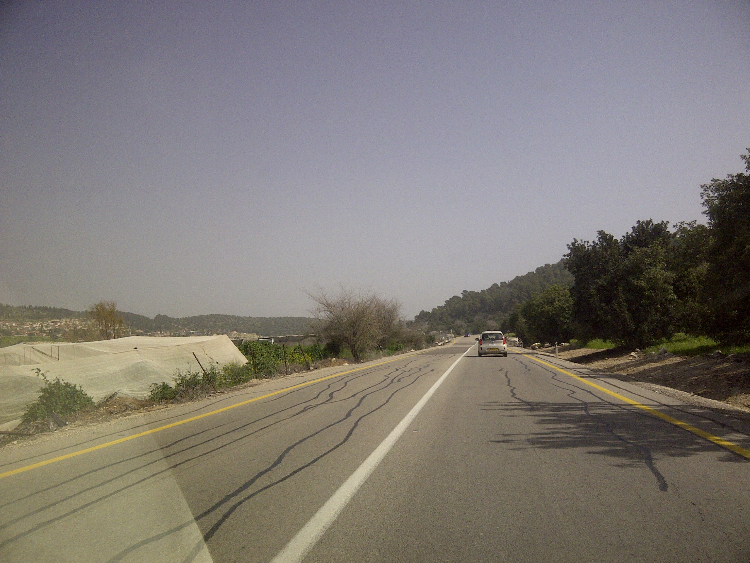 IMG-20150307-00569.jpg