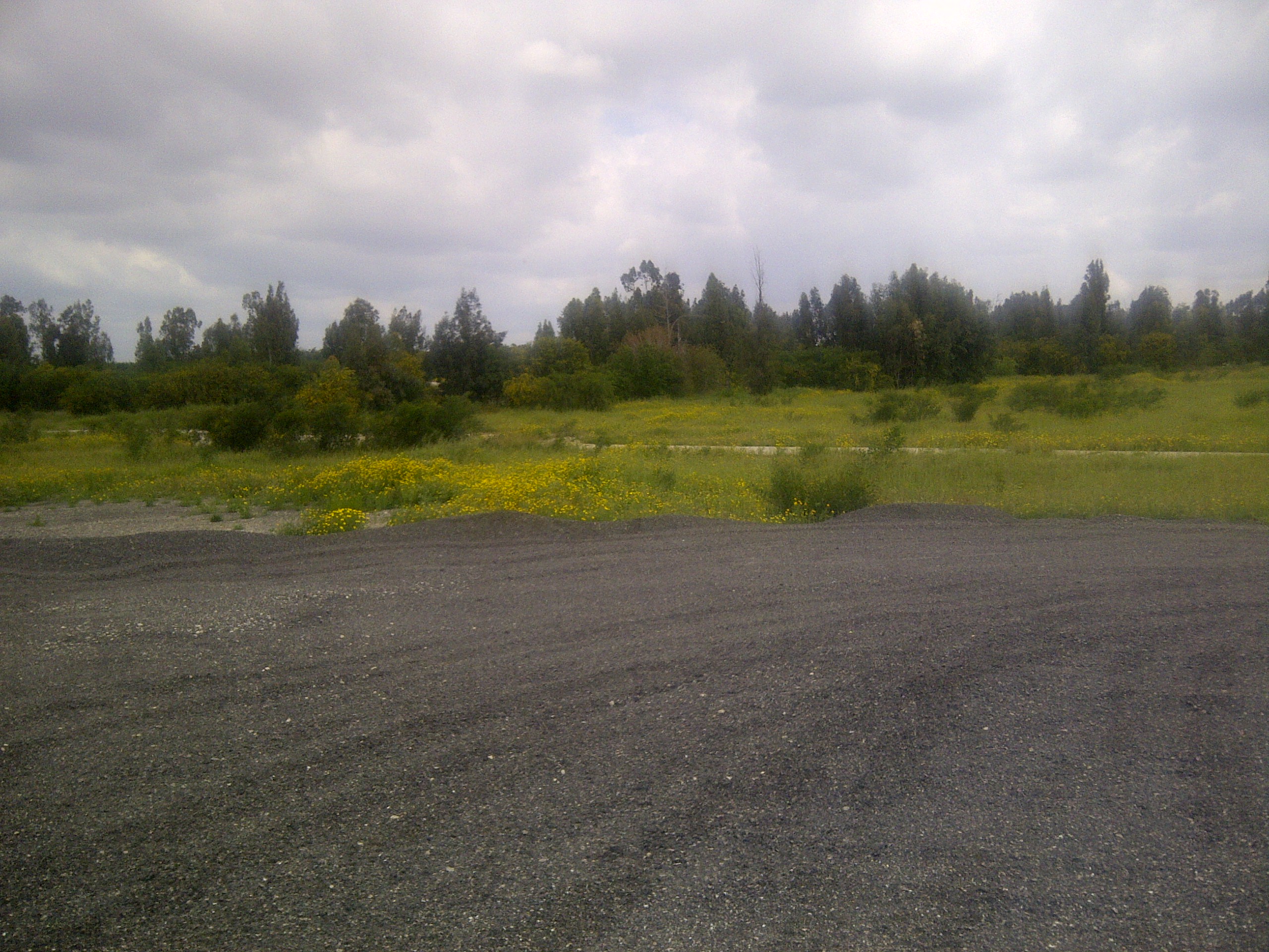 IMG-20150322-00840.jpg