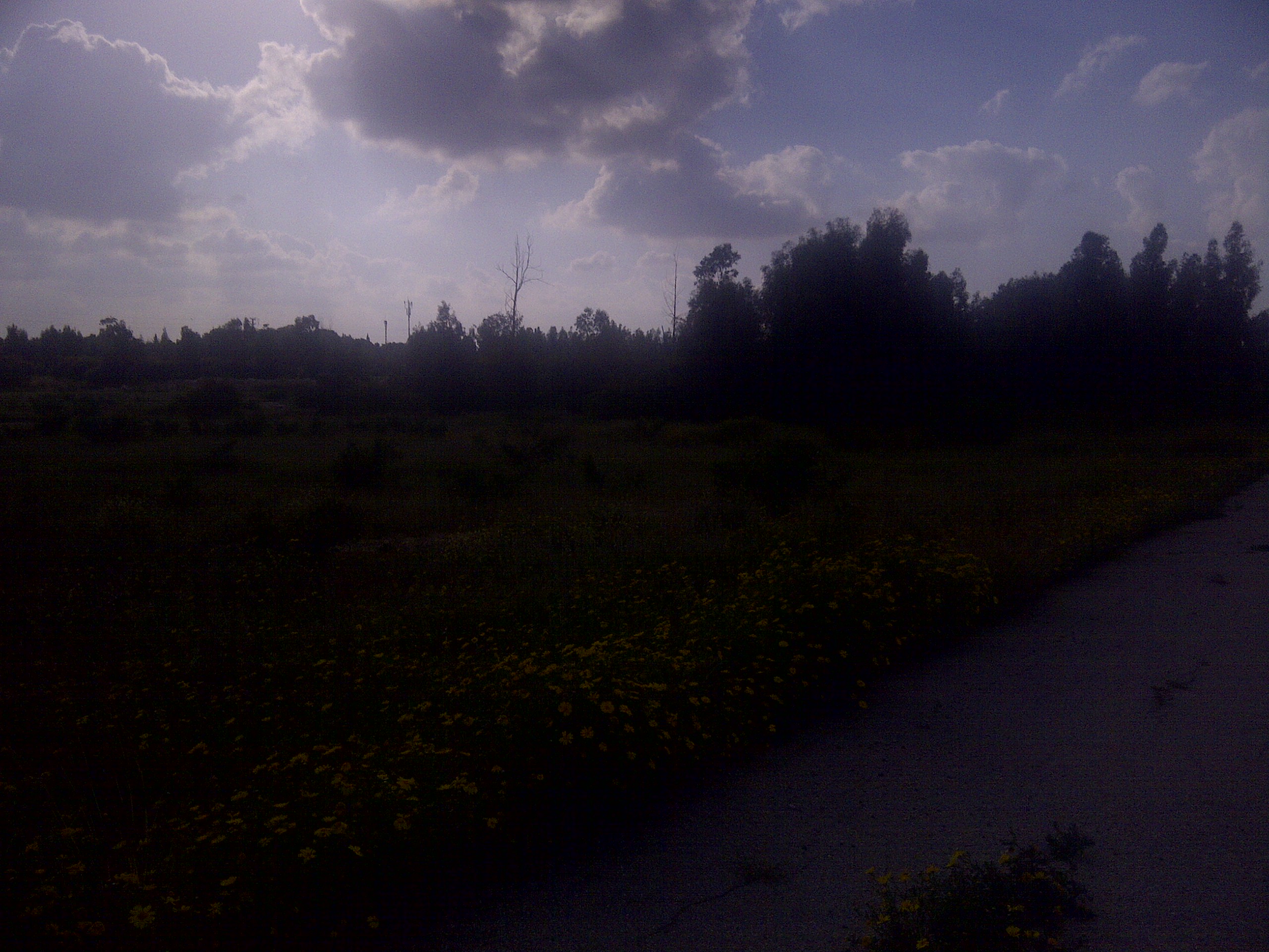 IMG-20150322-00842.jpg