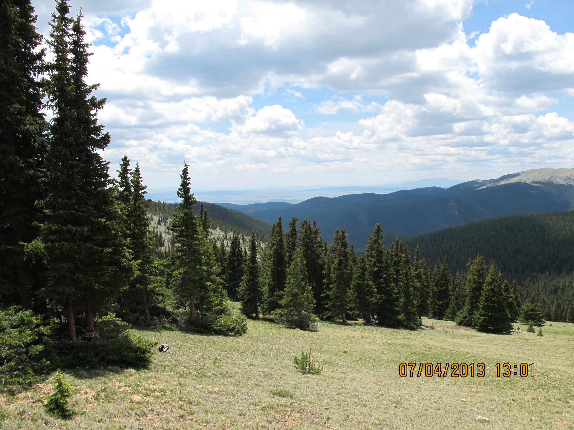 IMG_2133.JPG