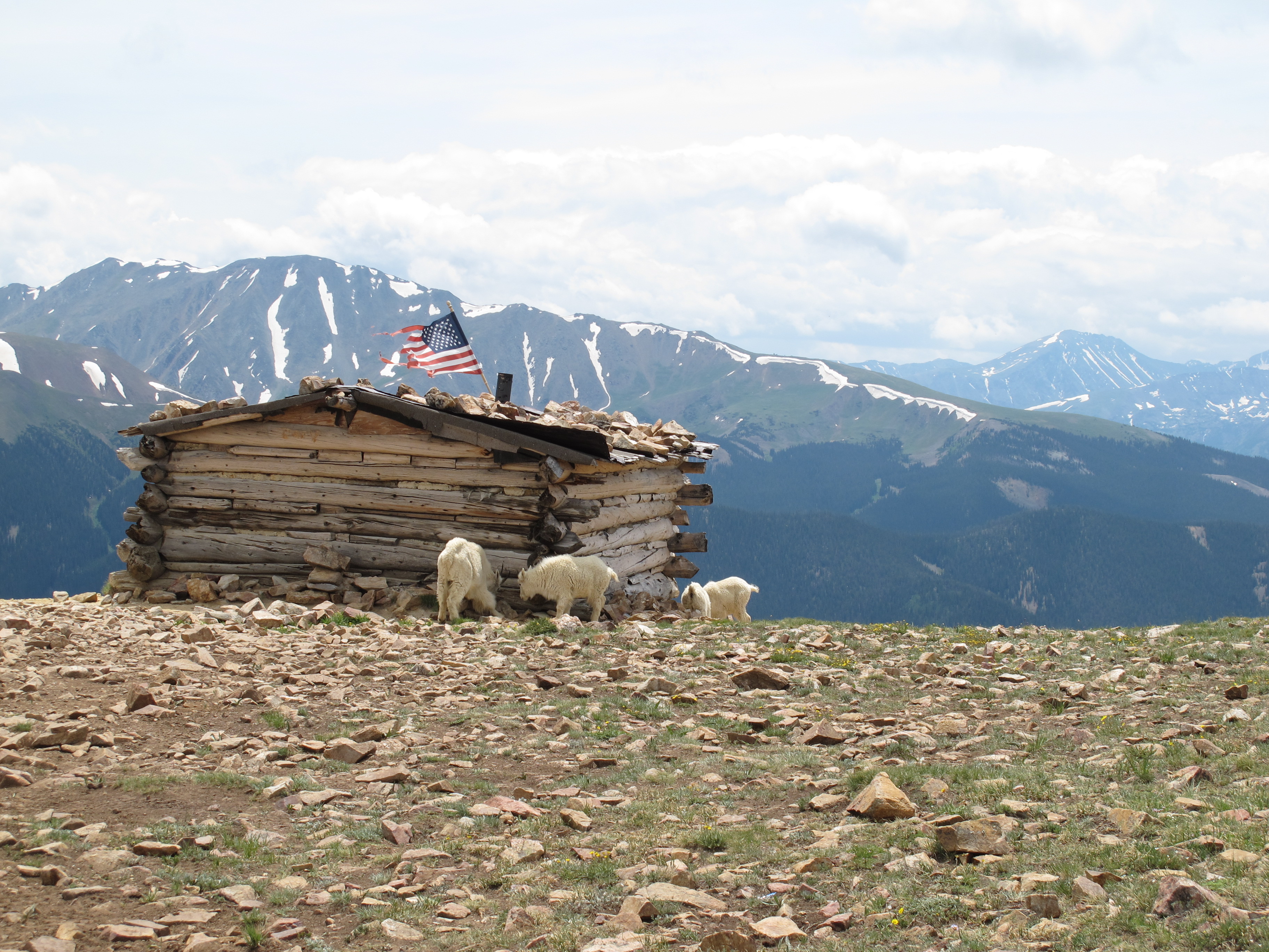 IMG_2235.JPG
