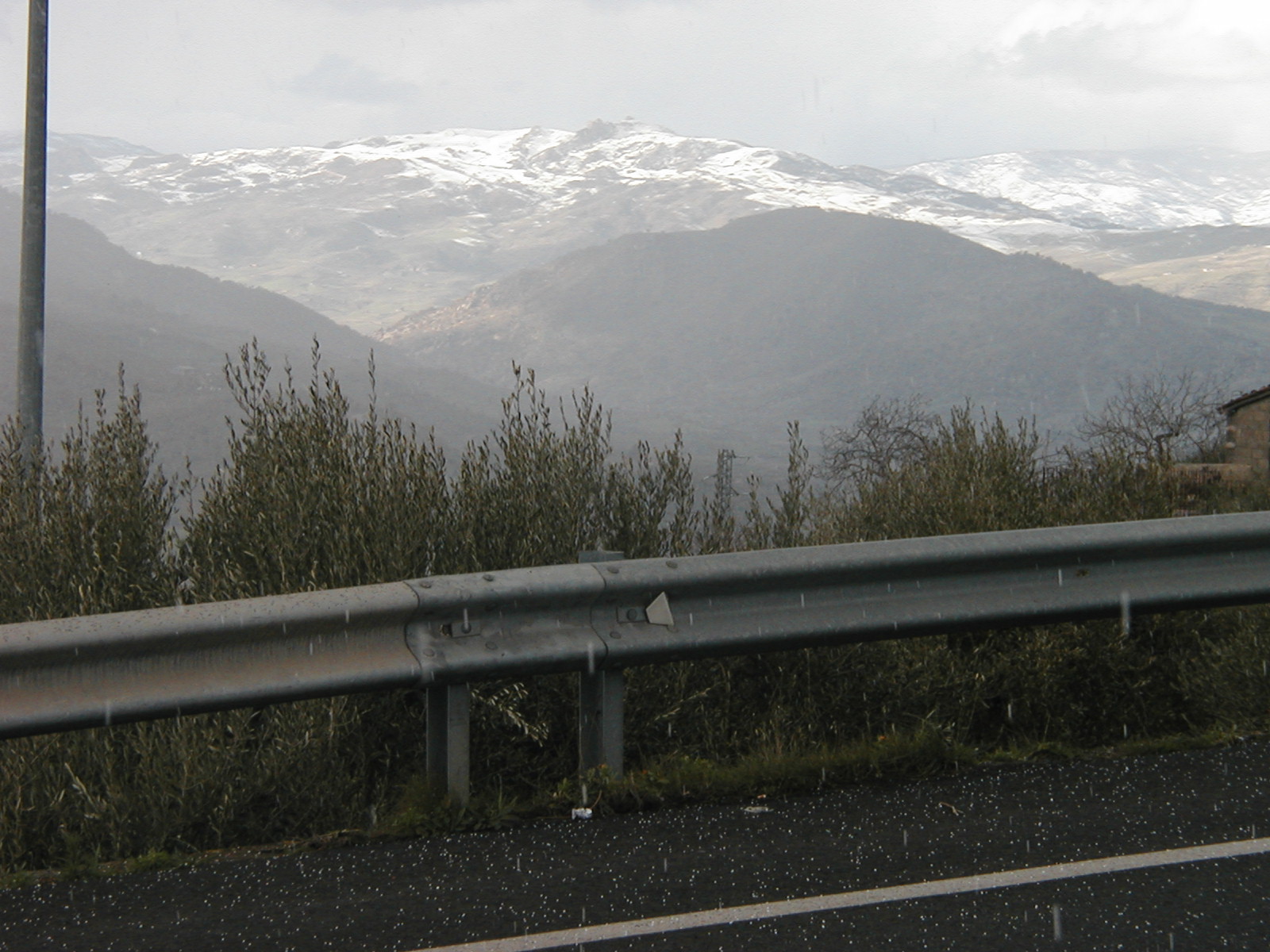 P1010001.JPG