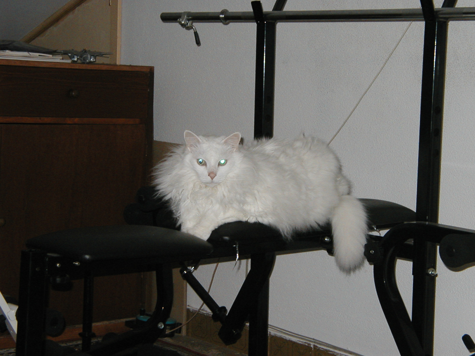 P1010001.JPG