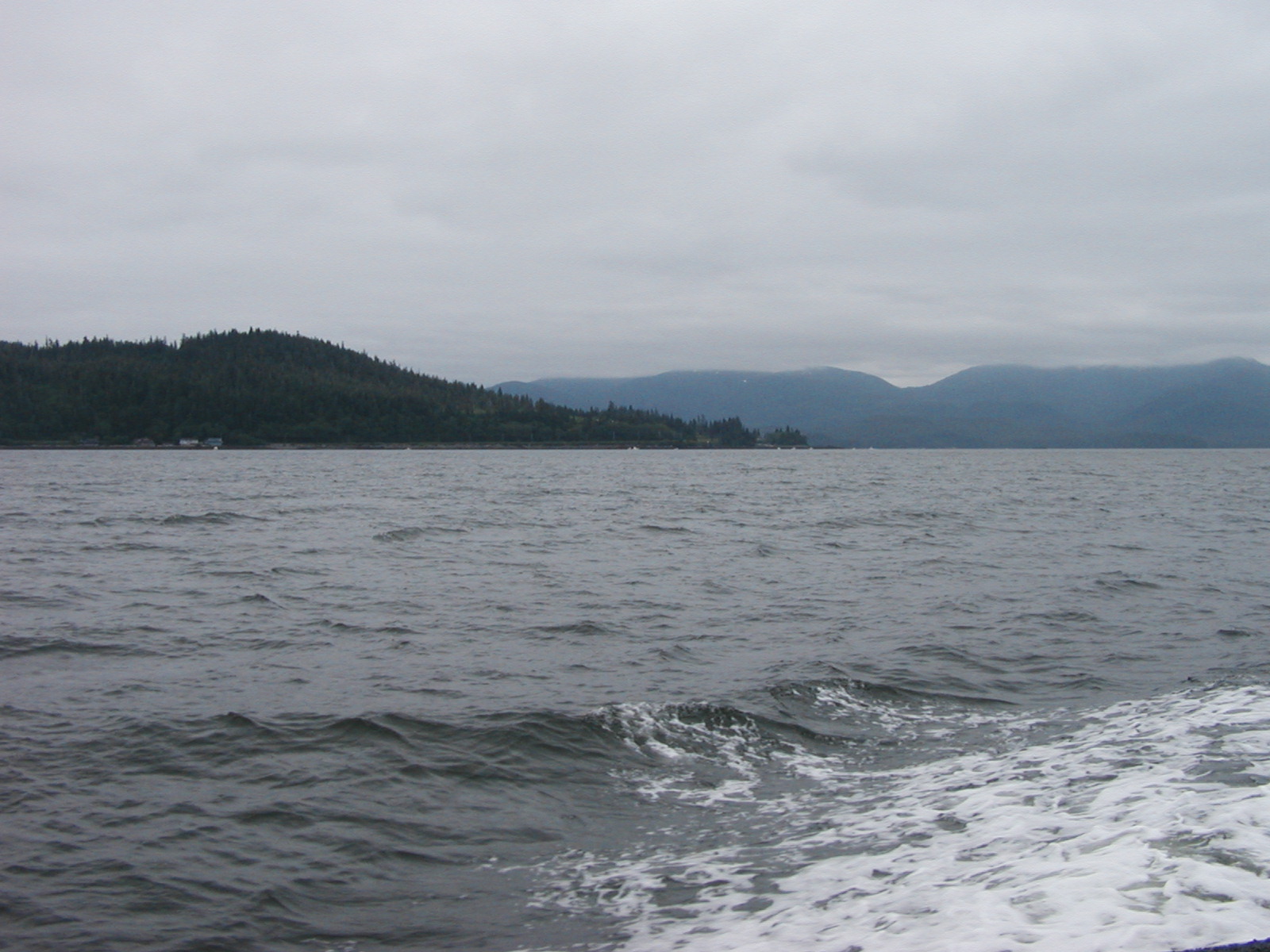 P1010002.JPG