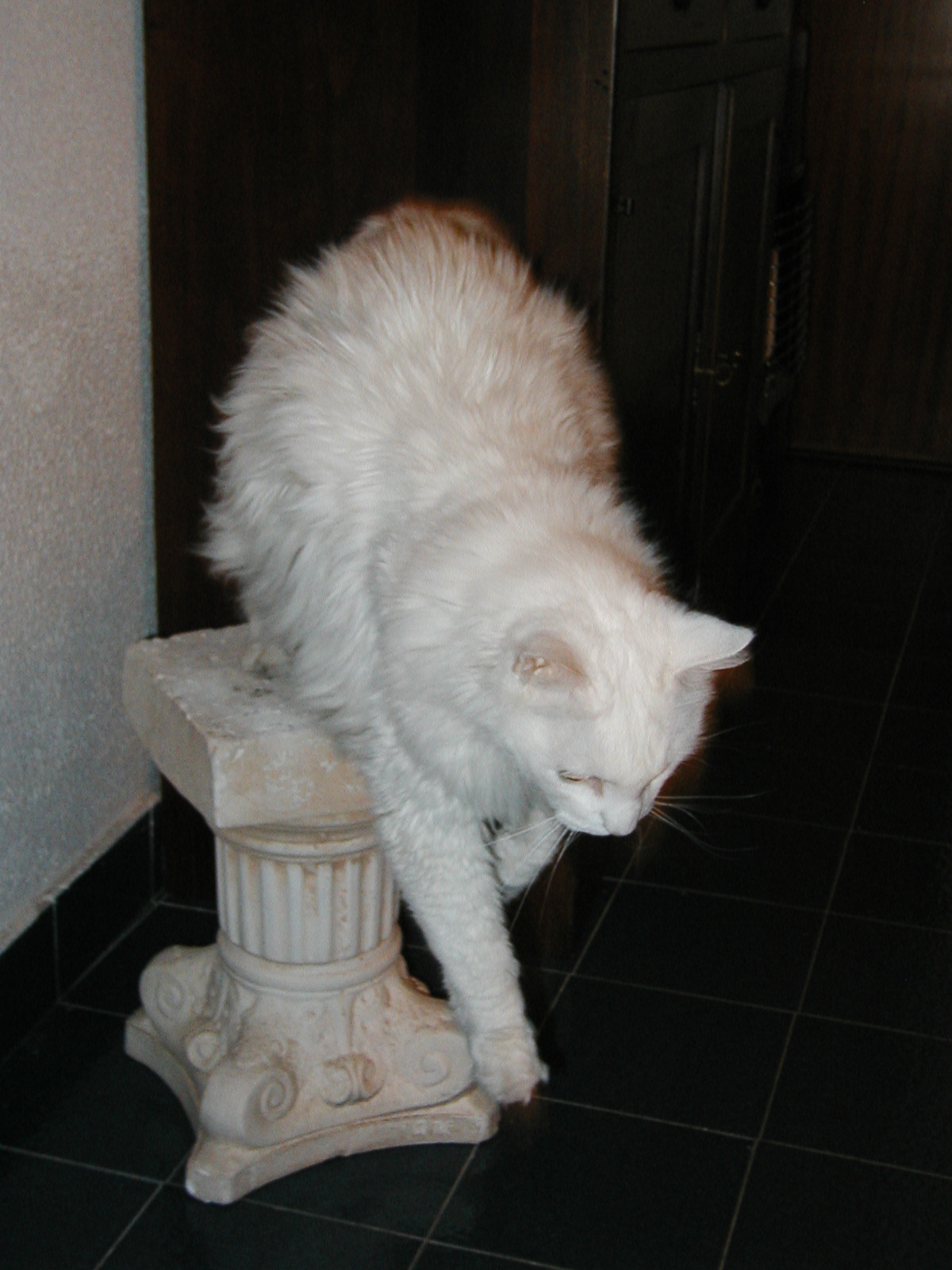 P1010002.JPG