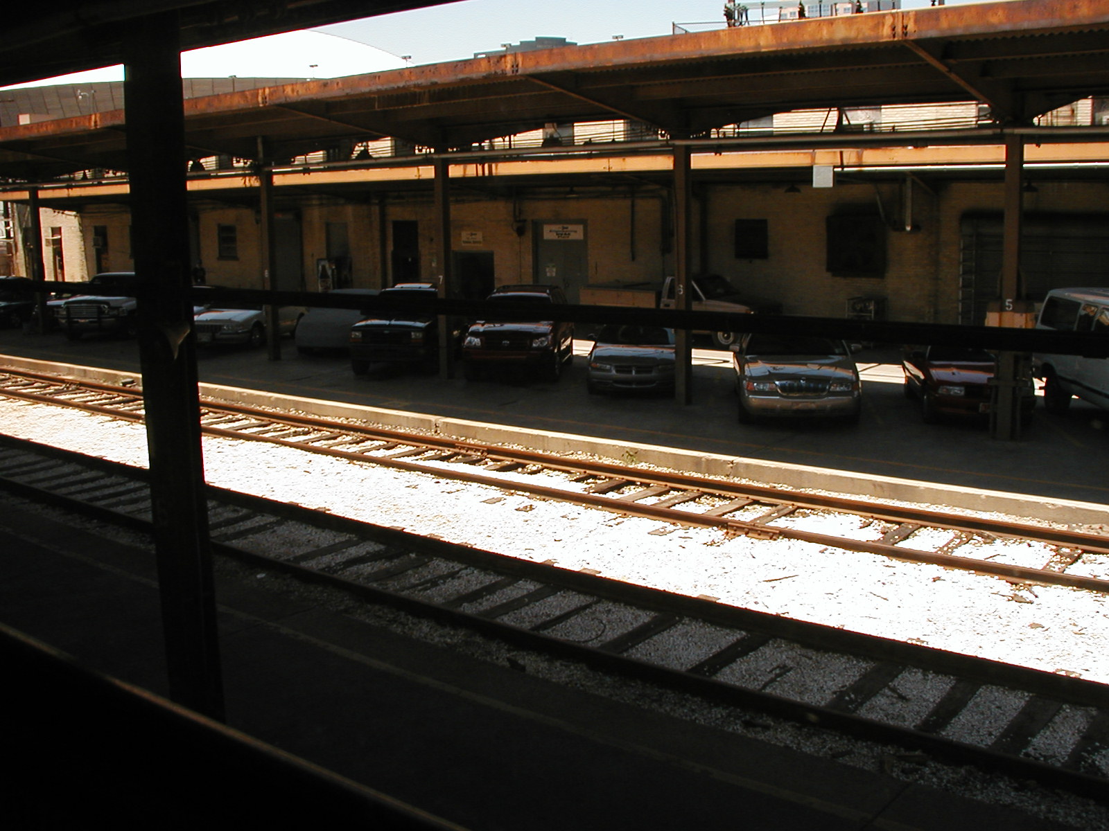 P1010002.JPG