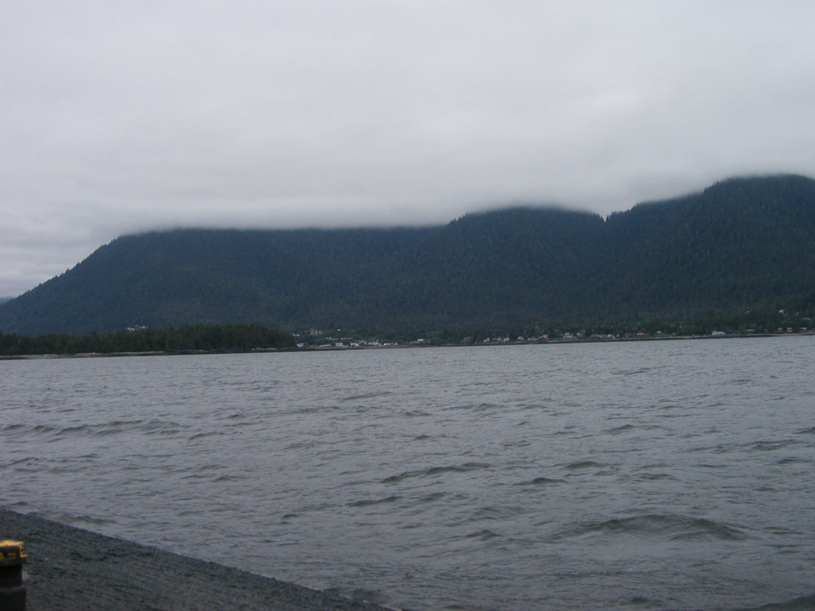 P1010003.JPG