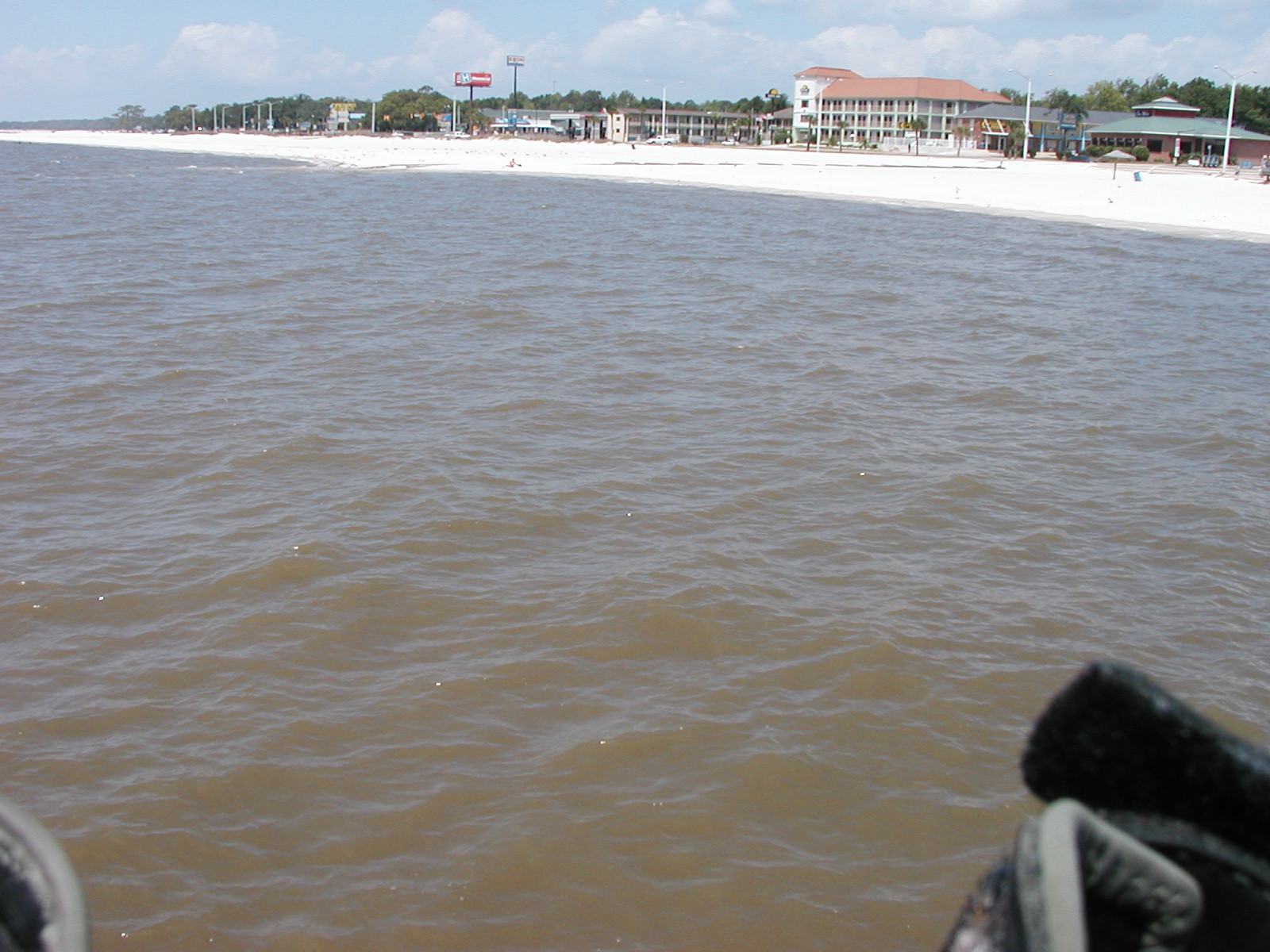 P1010003.JPG