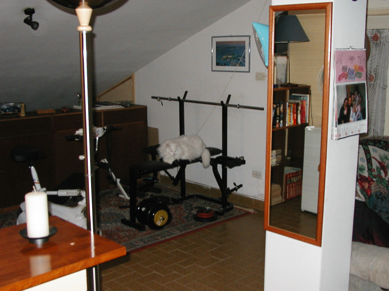 P1010003.JPG