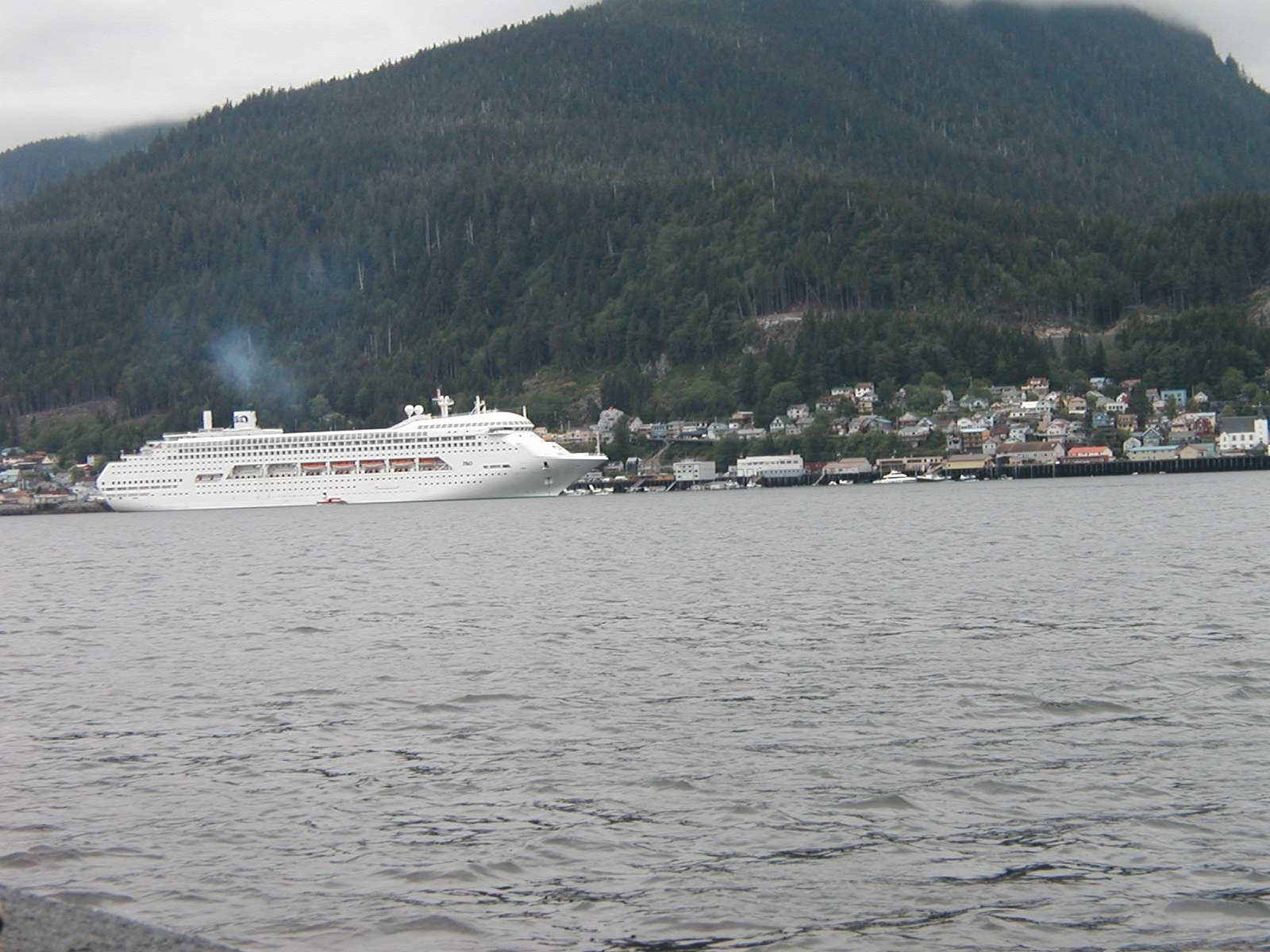 P1010004.JPG