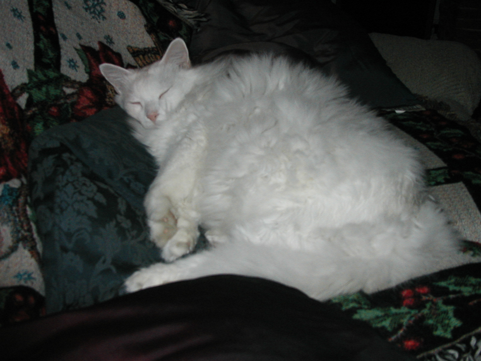 P1010004.JPG