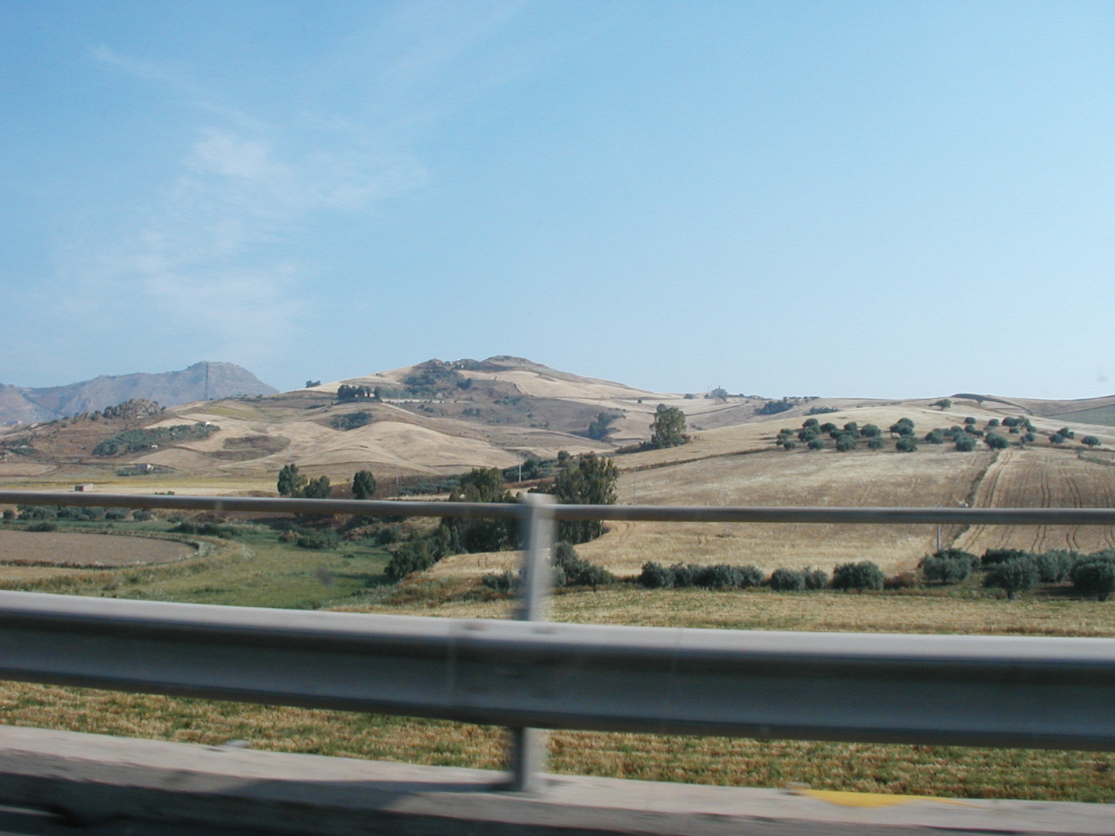 P1010004.JPG