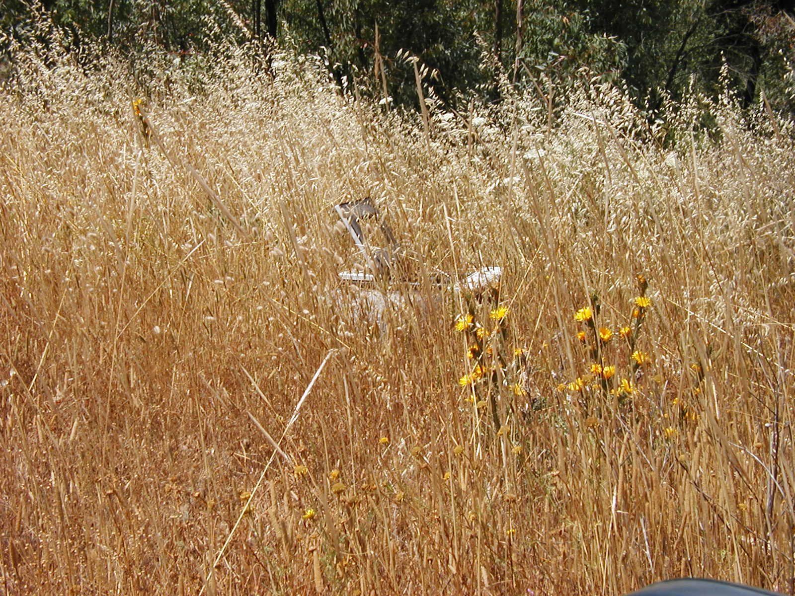 P1010004.JPG