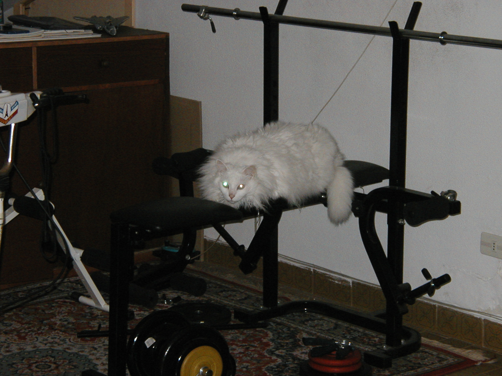 P1010004.JPG