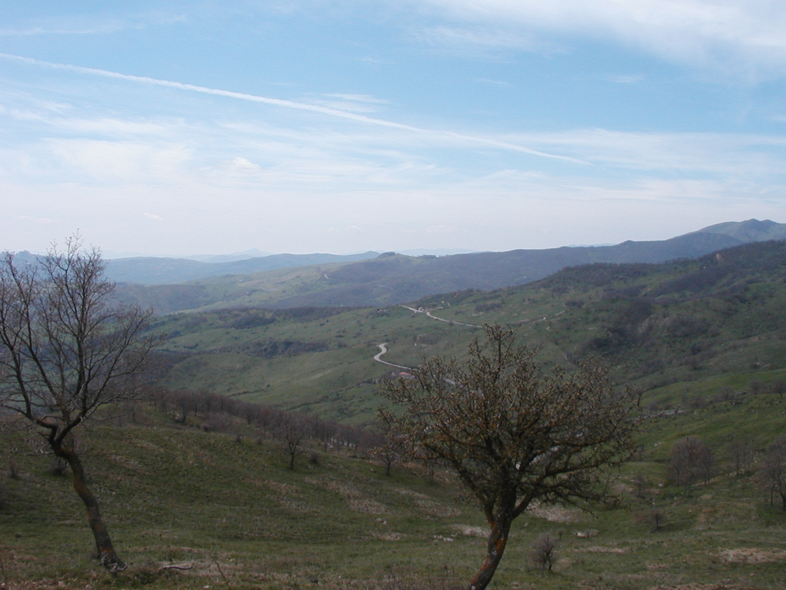 P1010005.JPG