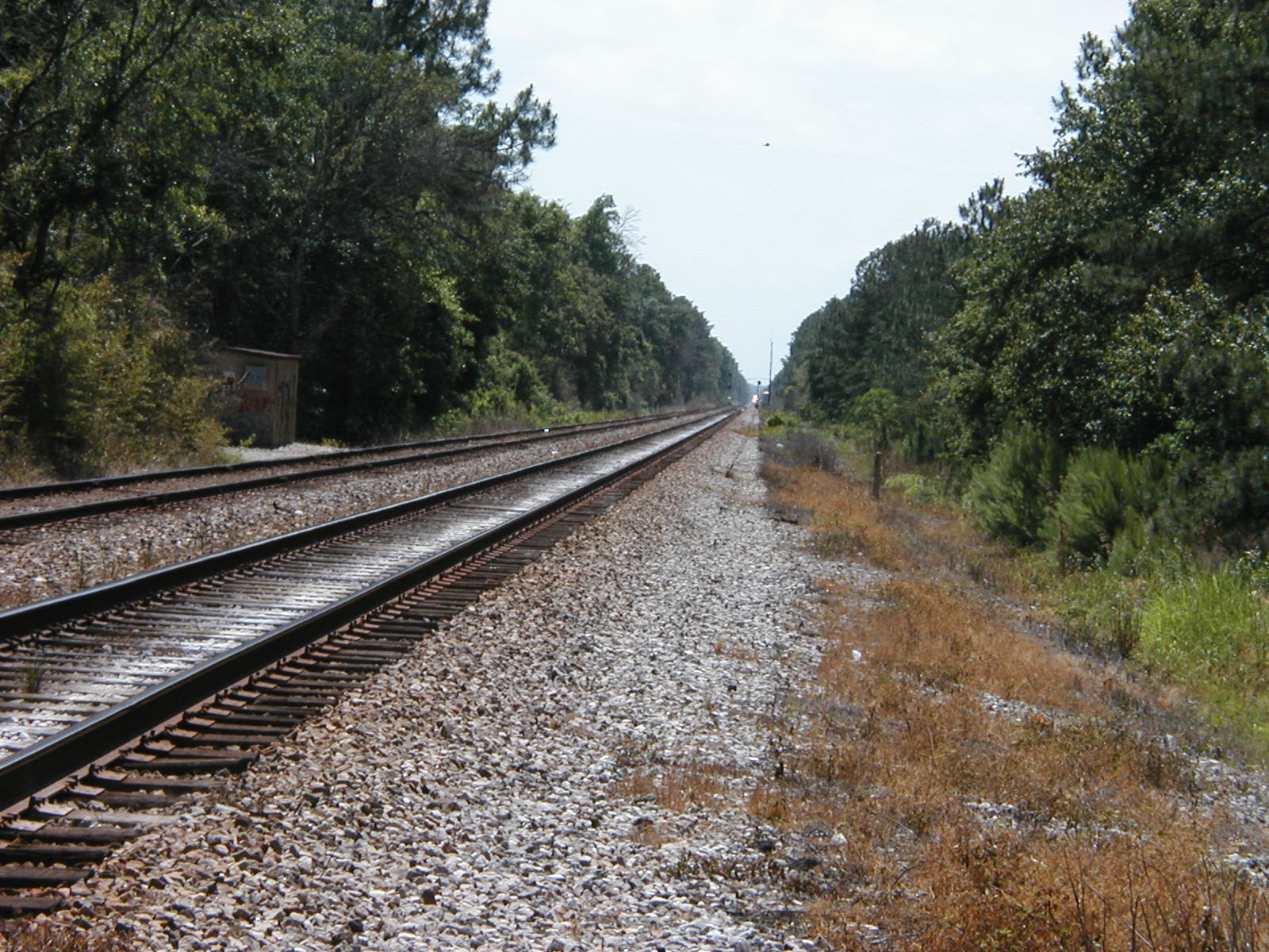 P1010005.JPG