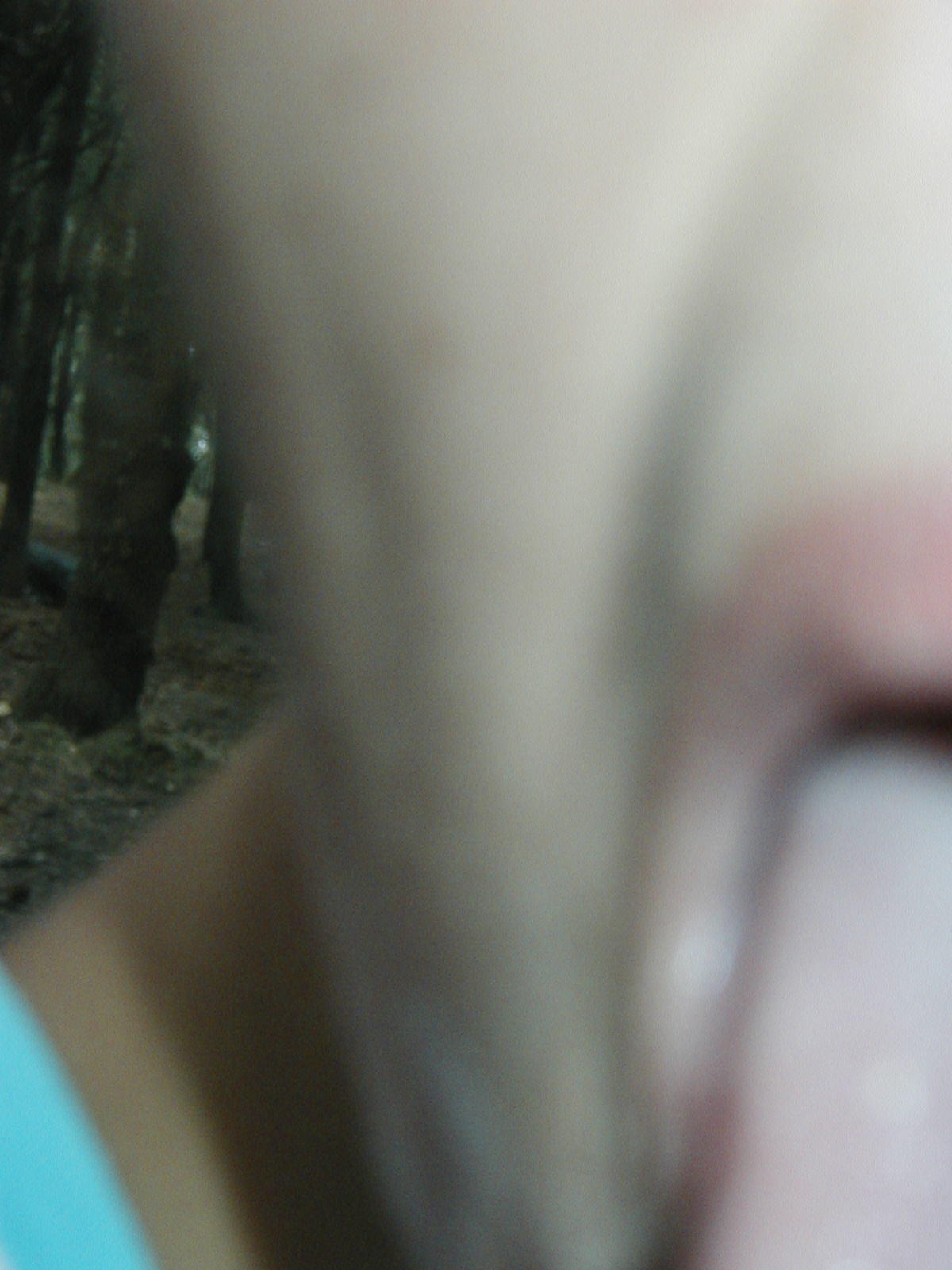 P1010005.JPG