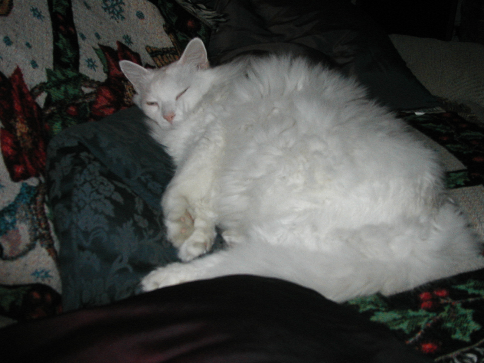 P1010005.JPG
