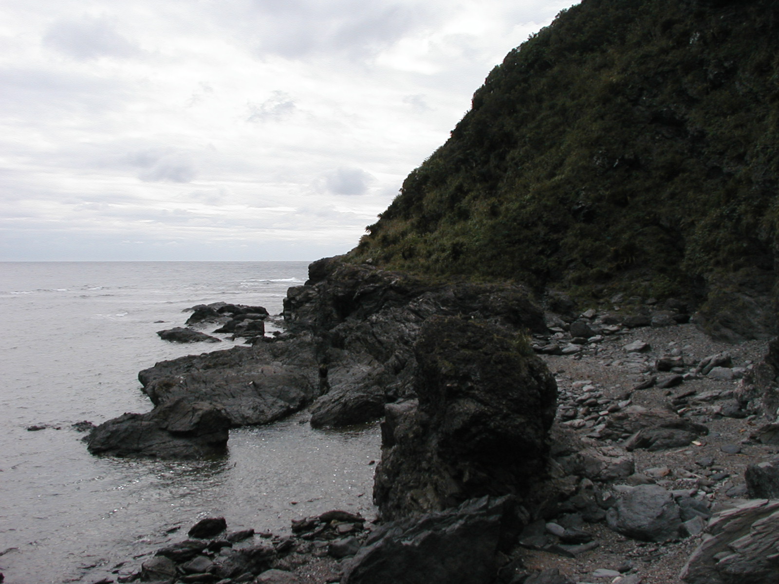 P1010005.JPG