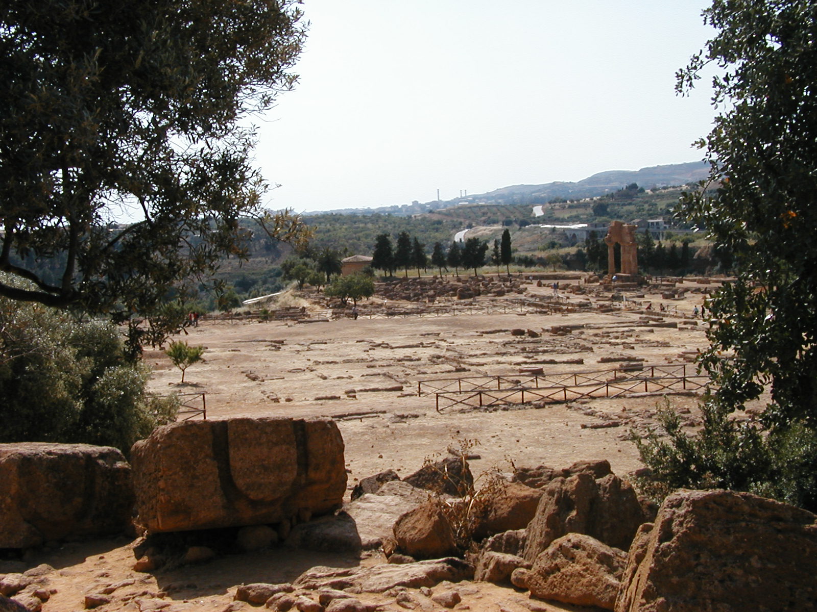 P1010005.JPG