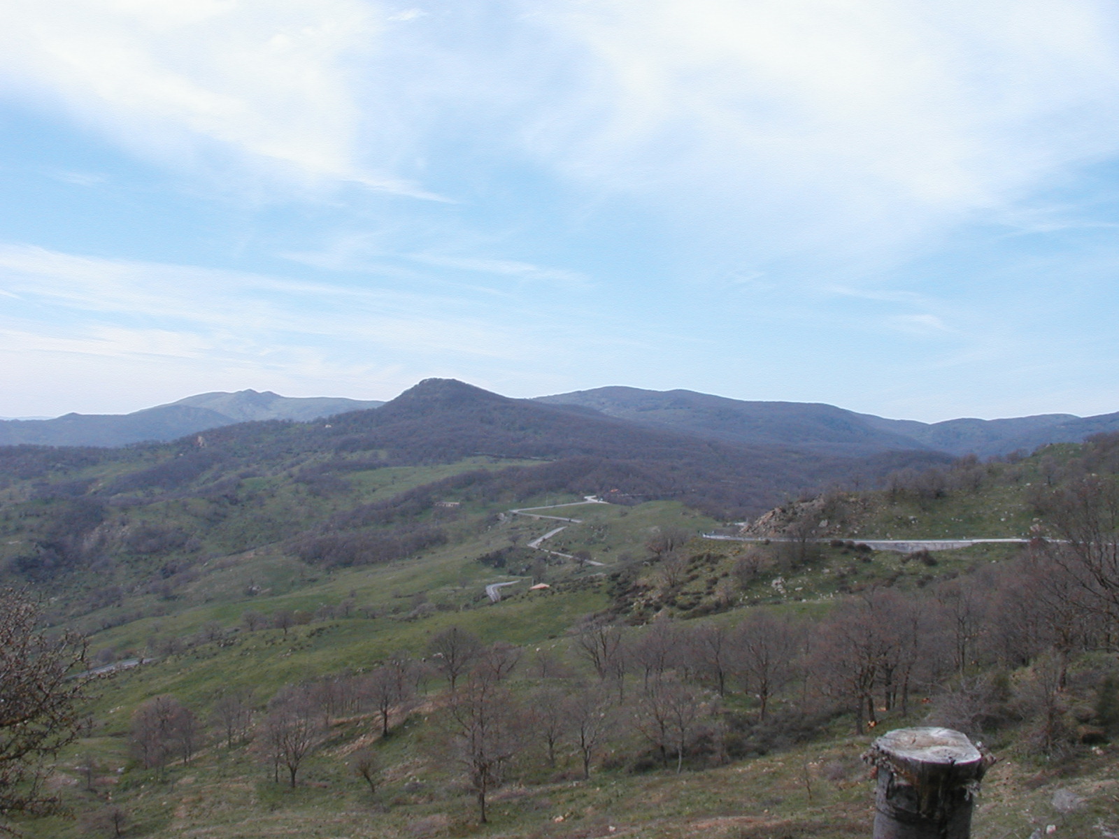 P1010006.JPG